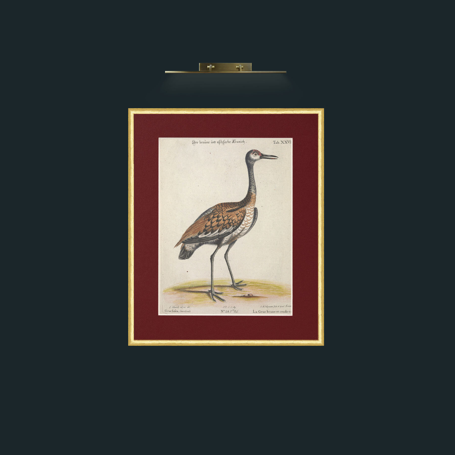 Art-Brown Crane-Frame-3RoundedGilt-Mount-4Red.jpg