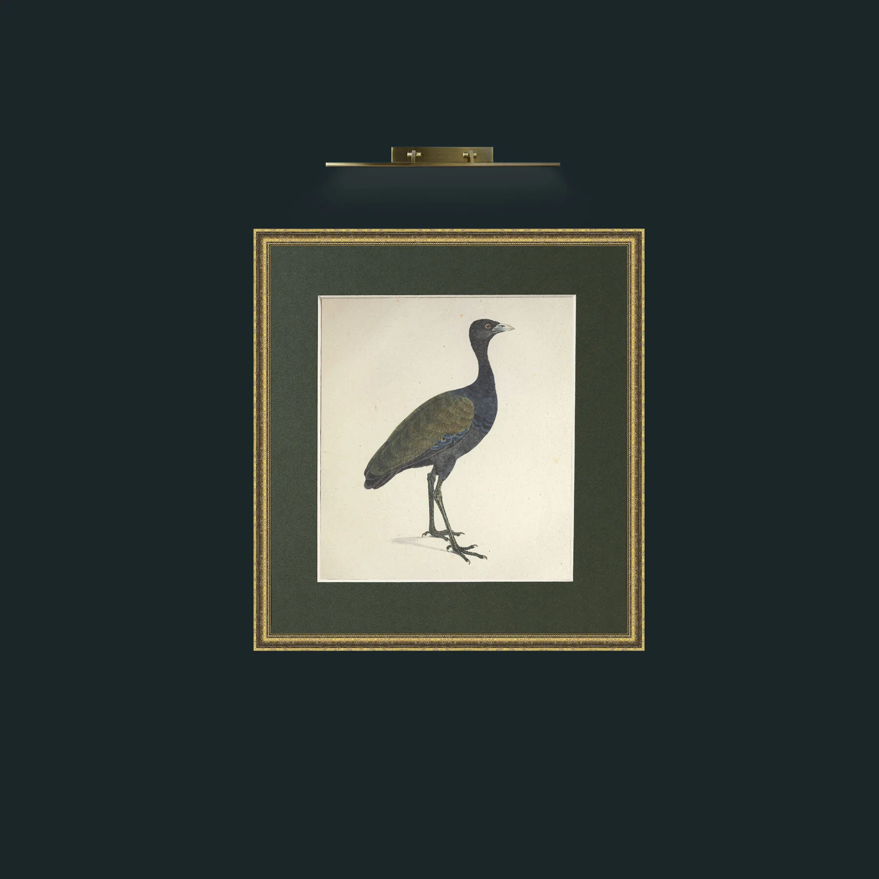 Art-Viridis PsophiaFrame-1GiltTextured-Mount-2Green-Art-Viridis Psophia.jpg