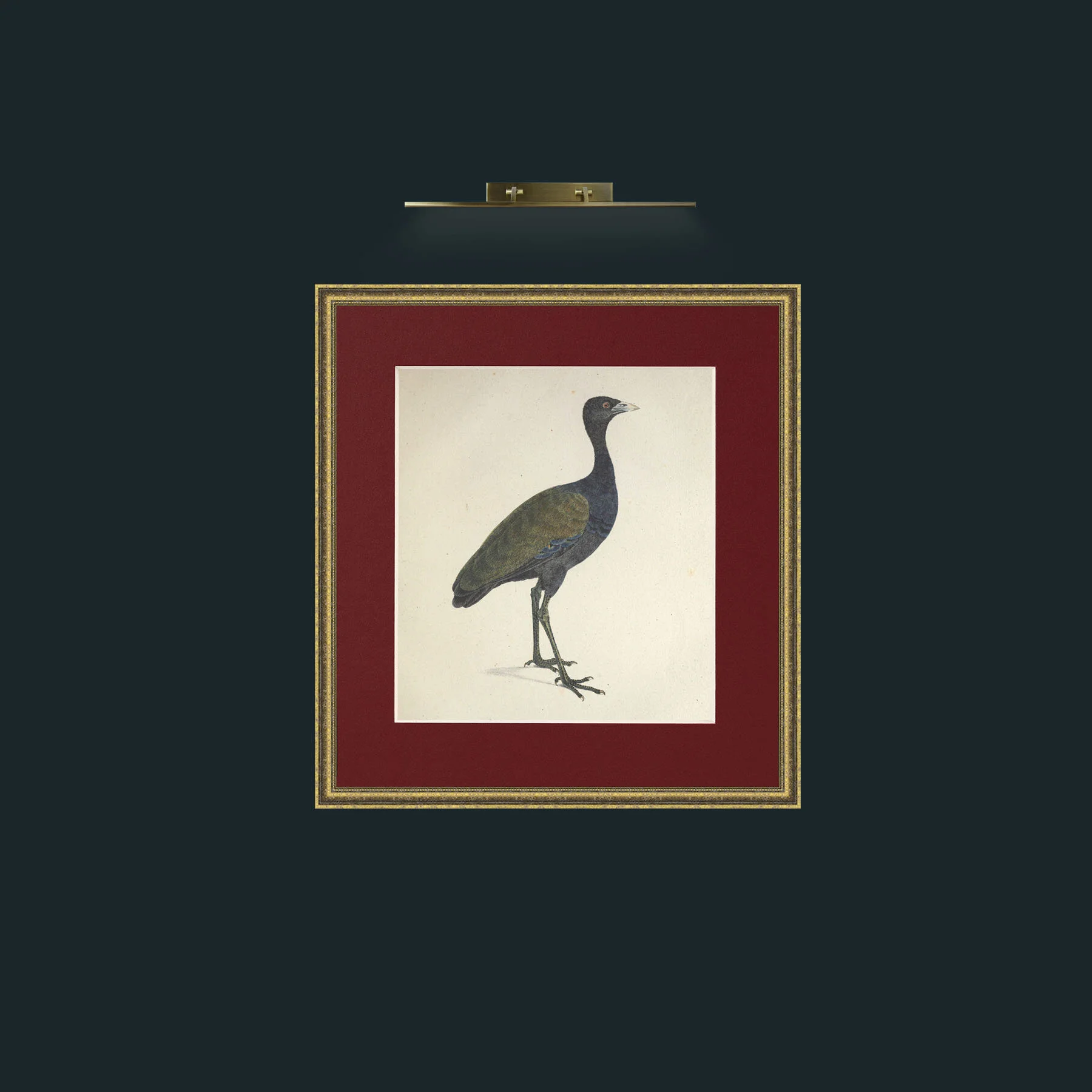 Art-Viridis PsophiaFrame-1GiltTextured-Mount-4Red-Art-Viridis Psophia.jpg