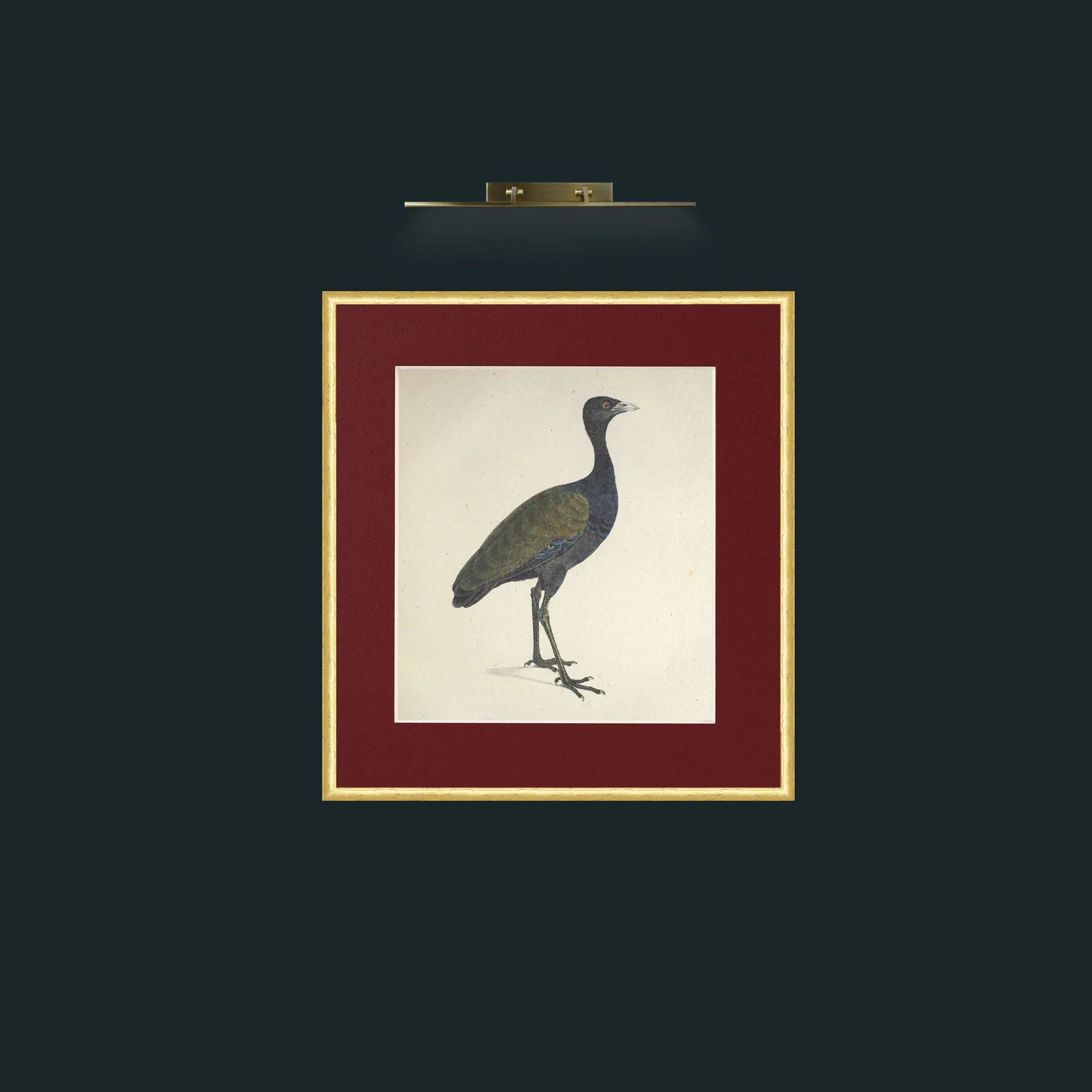 Art-Viridis PsophiaFrame-3RoundedGilt-Mount-4Red-Art-Viridis Psophia.jpg