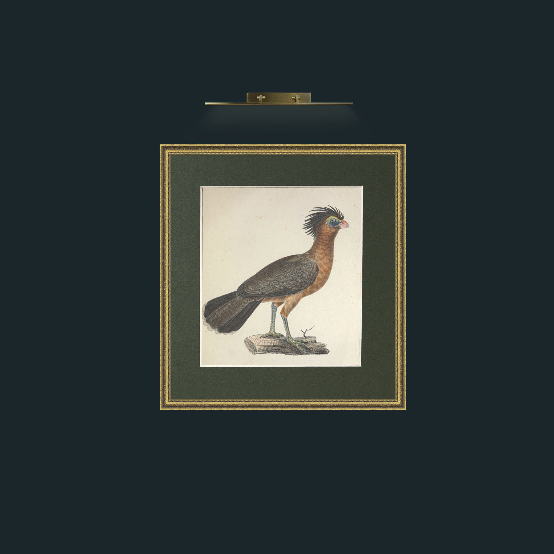Art-Urumutum CraxFrame-1GiltTextured-Mount-2Green-Art-Urumutum Crax.jpg
