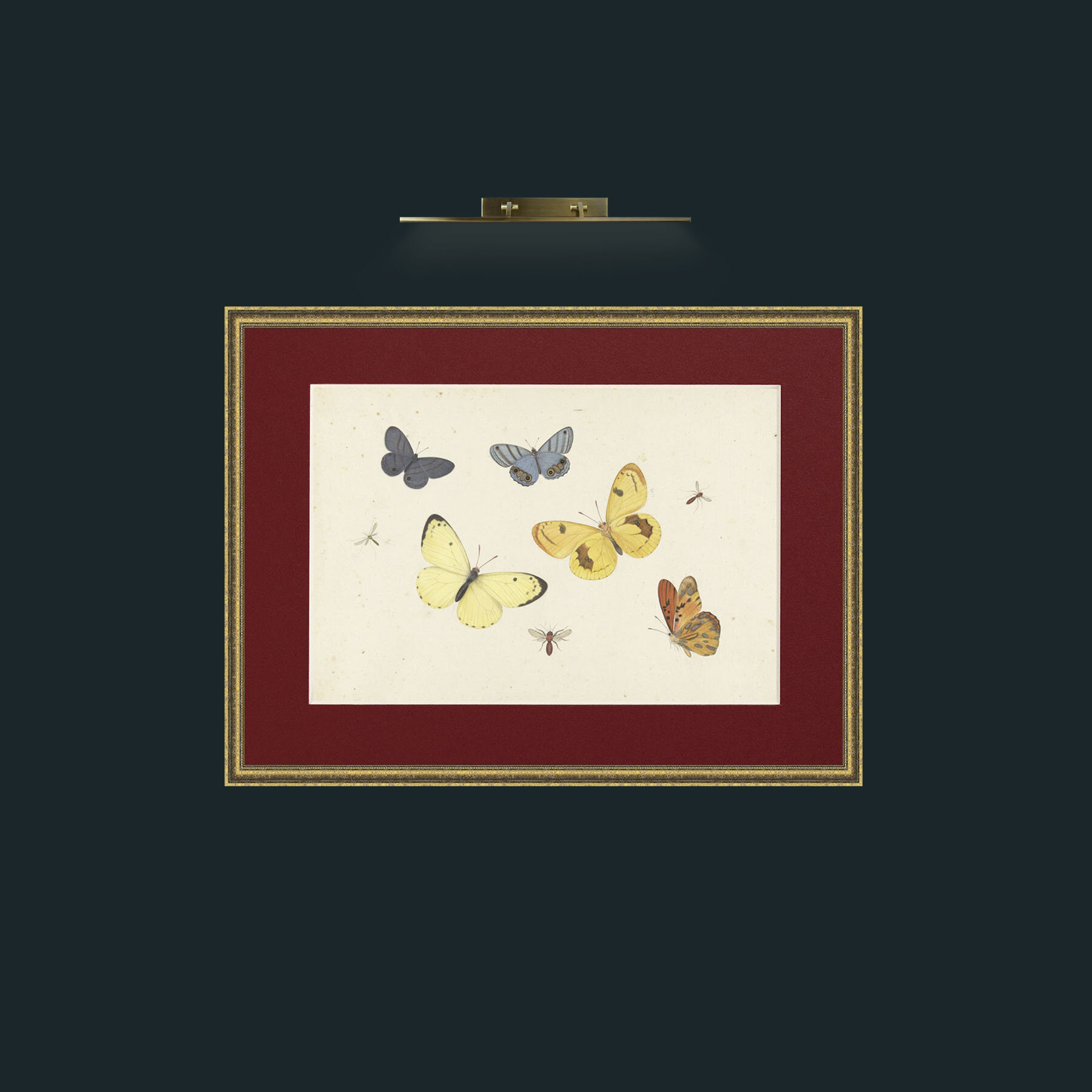 Art-Butterflies-Frame-1TexturedGilt-Mount-4Red.jpg