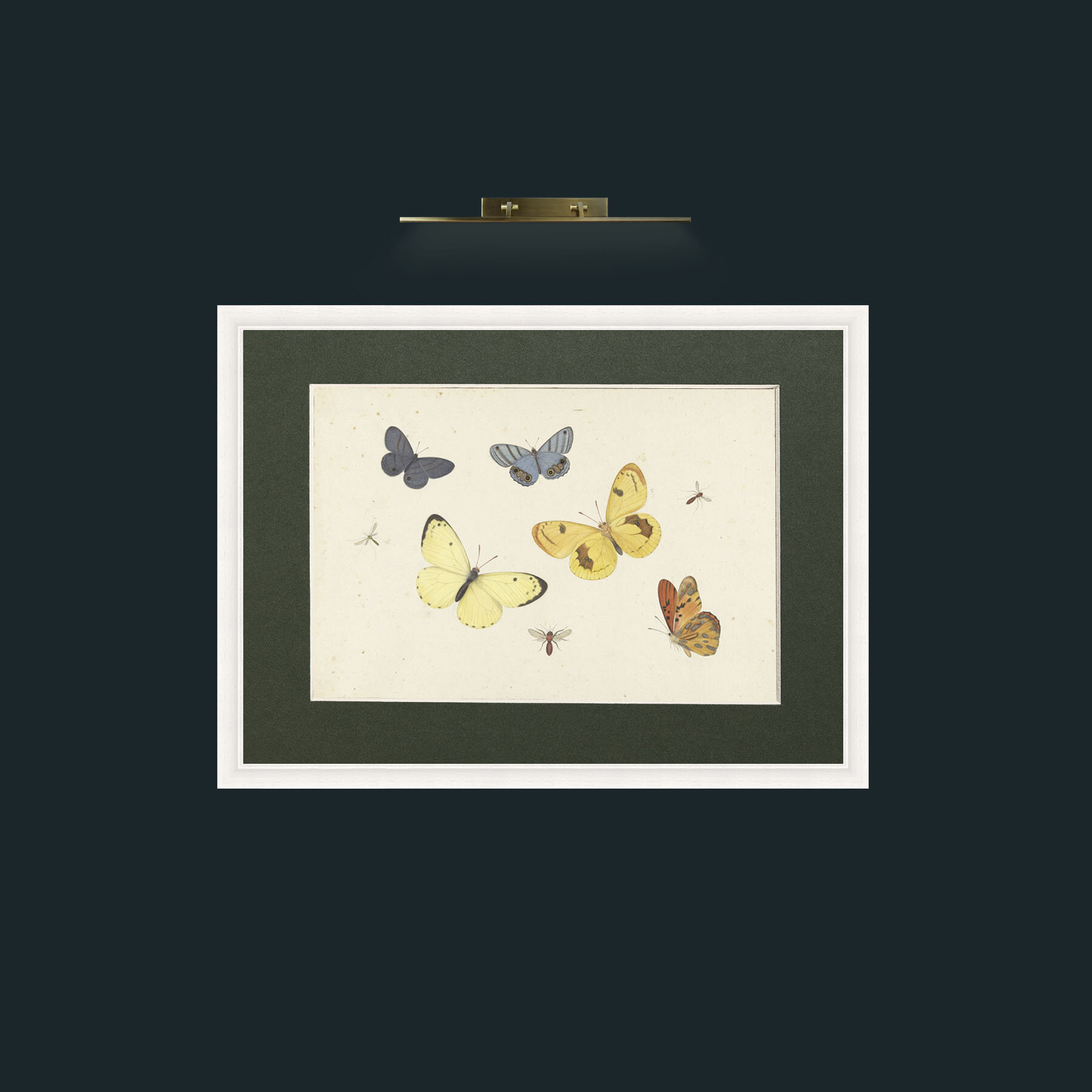 Art-Butterflies-Frame-5White-Mount-2Green.jpg