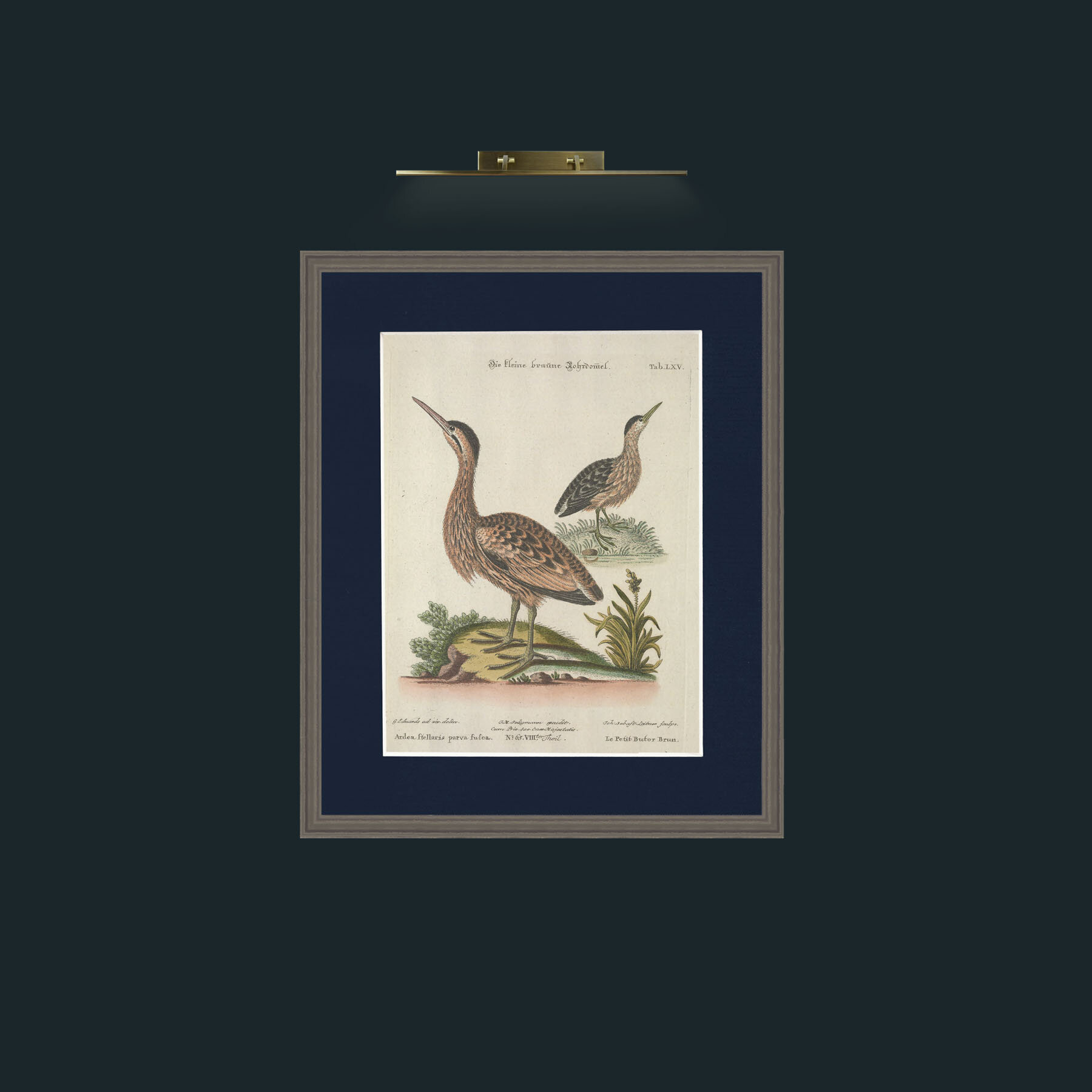 Art-Brown Little Bittern-Frame-6Grey-Mount-3Blue.jpg