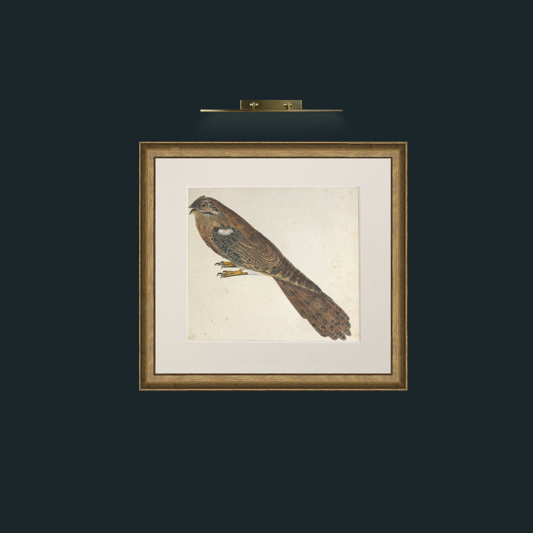 Art-Caprimulgus-Frame-8RedGreenGilt-Mount-1Antique.jpg