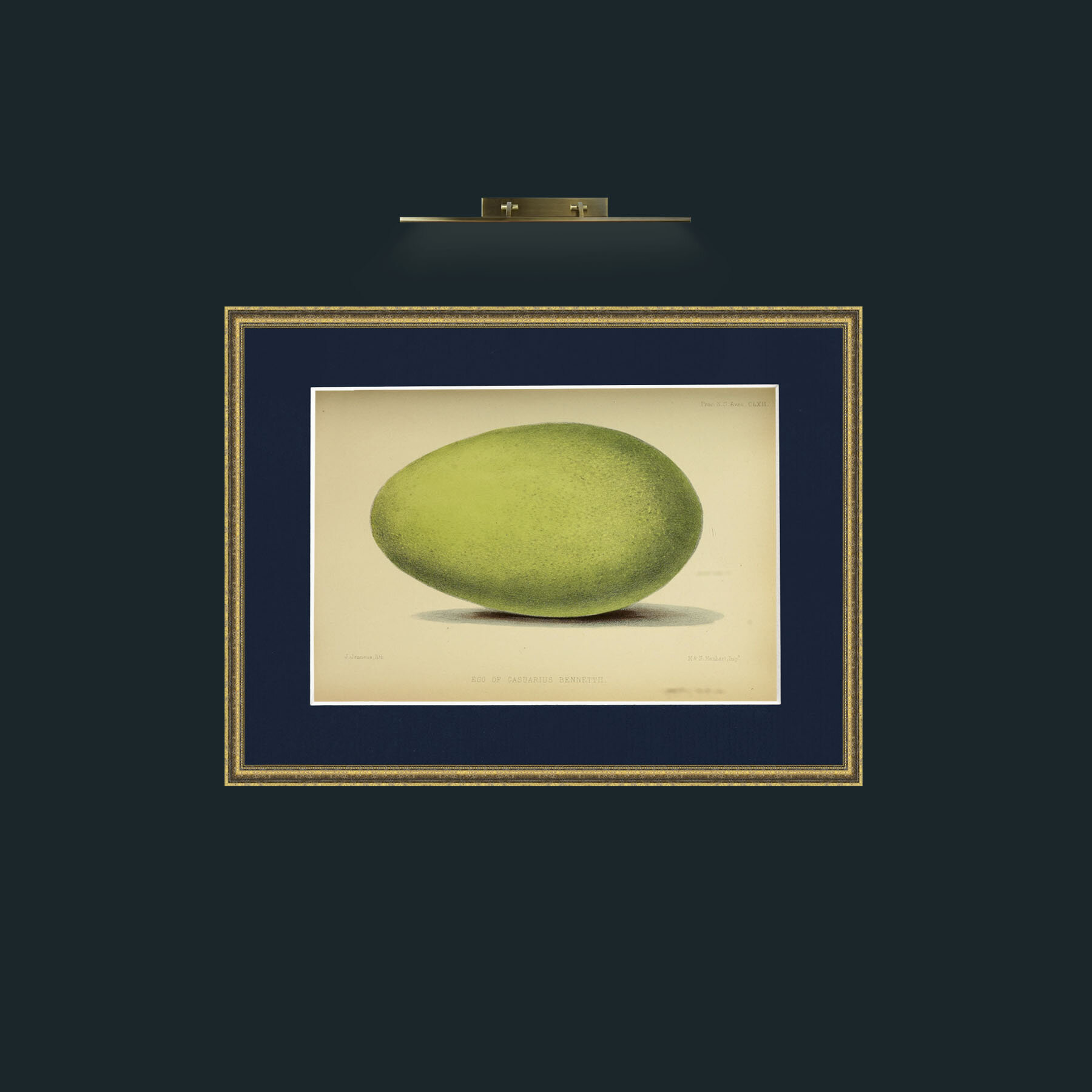 Art-Cassowary Egg-Frame-1TexturedGilt-Mount-3Blue.jpg