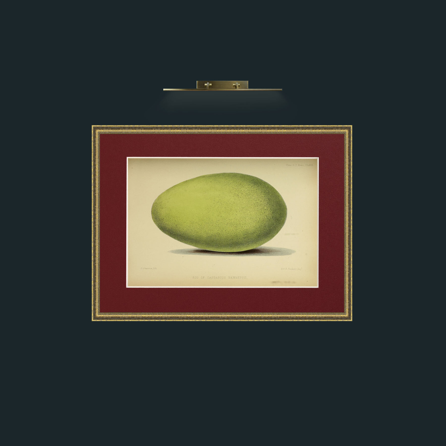 Art-Cassowary Egg-Frame-1TexturedGilt-Mount-4Red.jpg