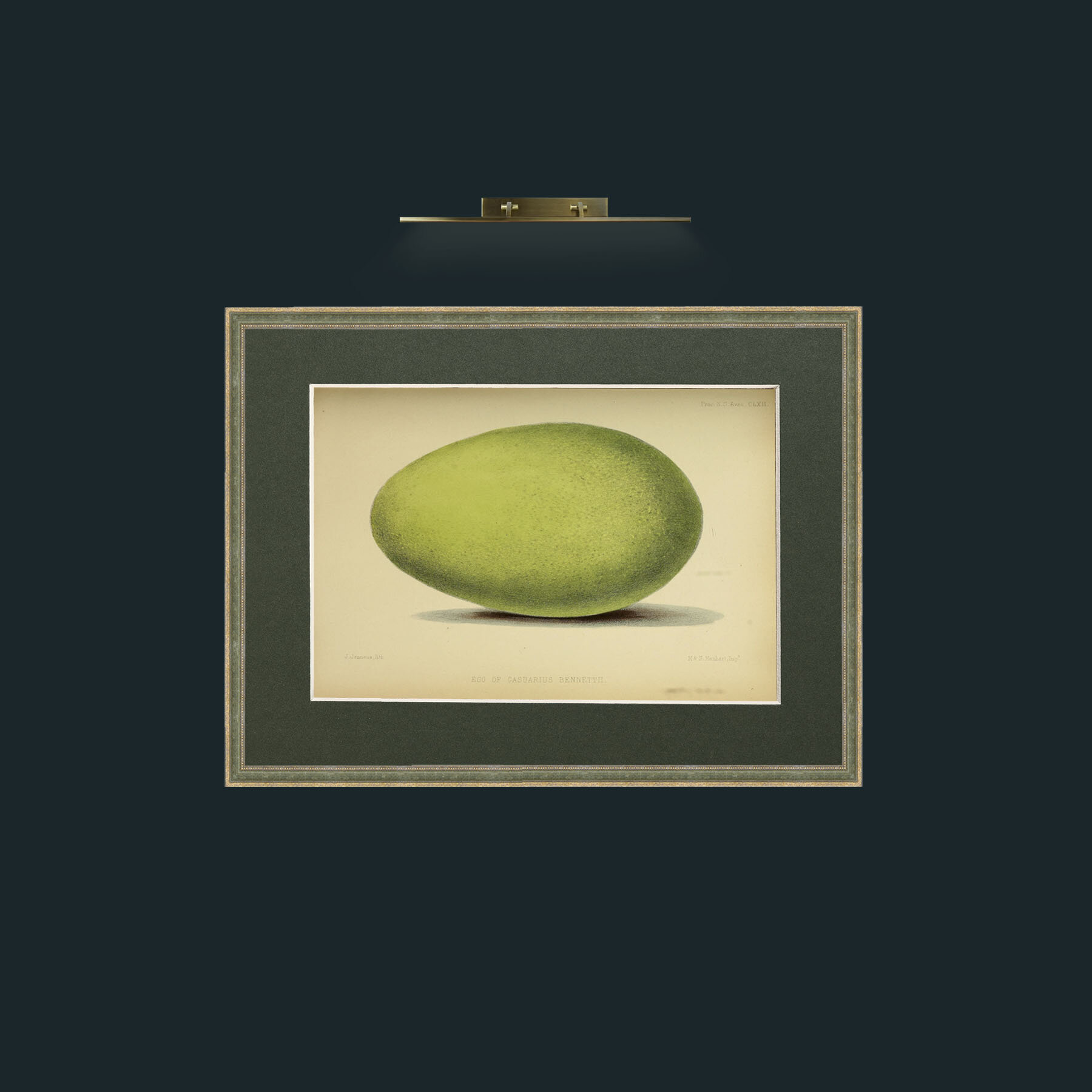 Art-Cassowary Egg-Frame-2GreenGiltTextured-Mount-2Green.jpg
