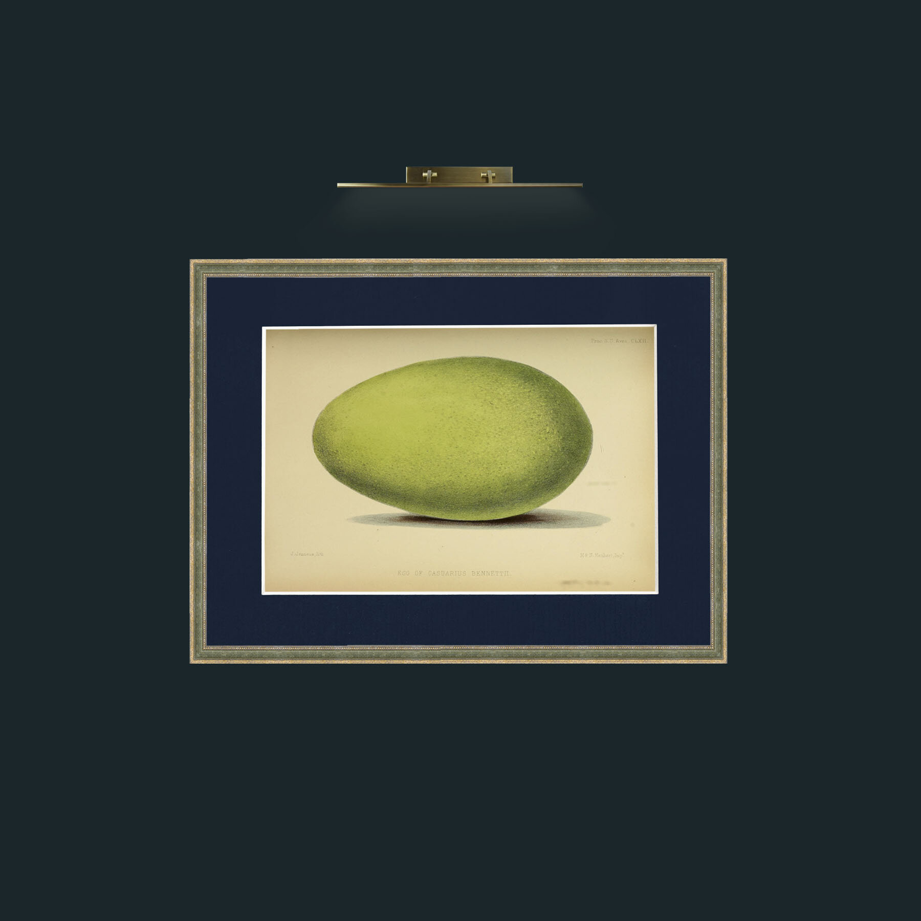Art-Cassowary Egg-Frame-2GreenGiltTextured-Mount-3Blue.jpg