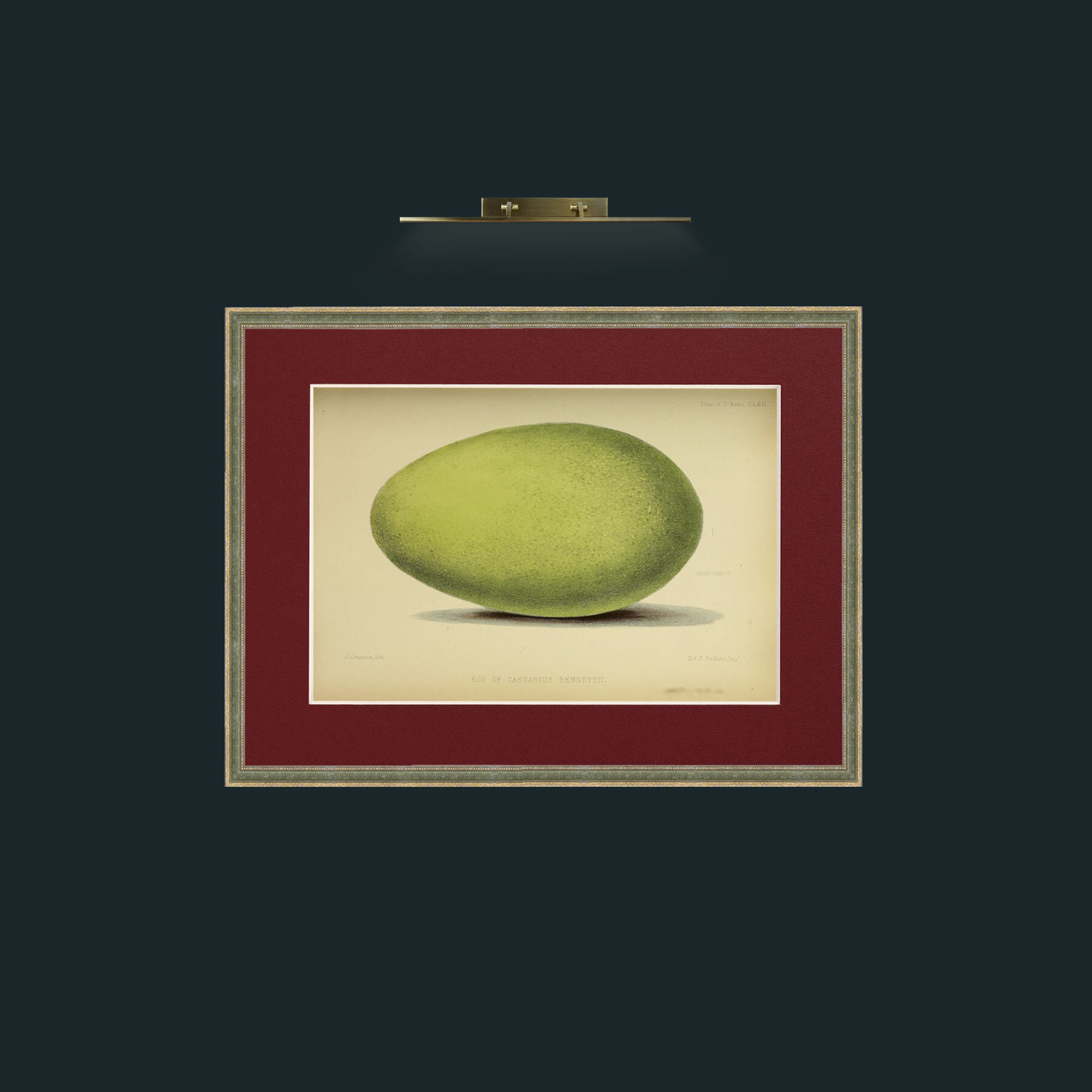 Art-Cassowary Egg-Frame-2GreenGiltTextured-Mount-4Red.jpg