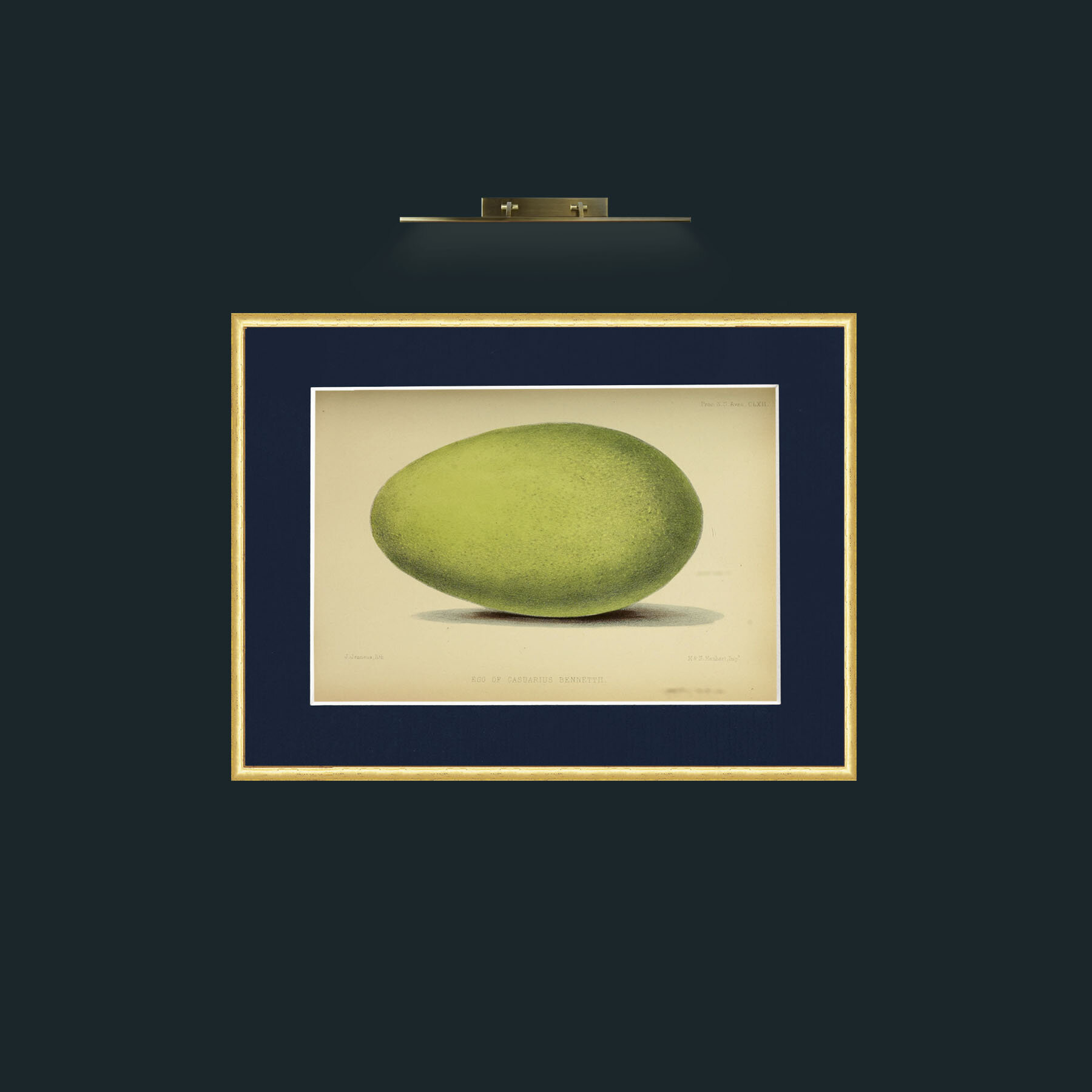 Art-Cassowary Egg-Frame-3RoundedGilt-Mount-3Blue.jpg
