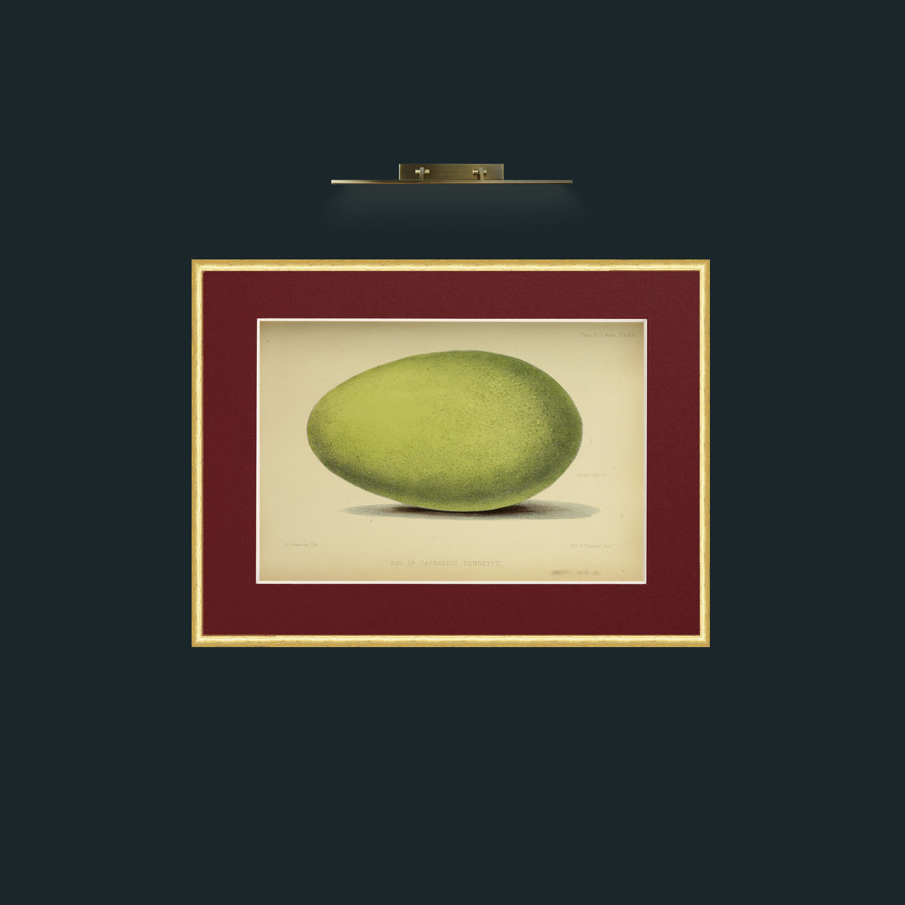 Art-Cassowary Egg-Frame-3RoundedGilt-Mount-4Red.jpg