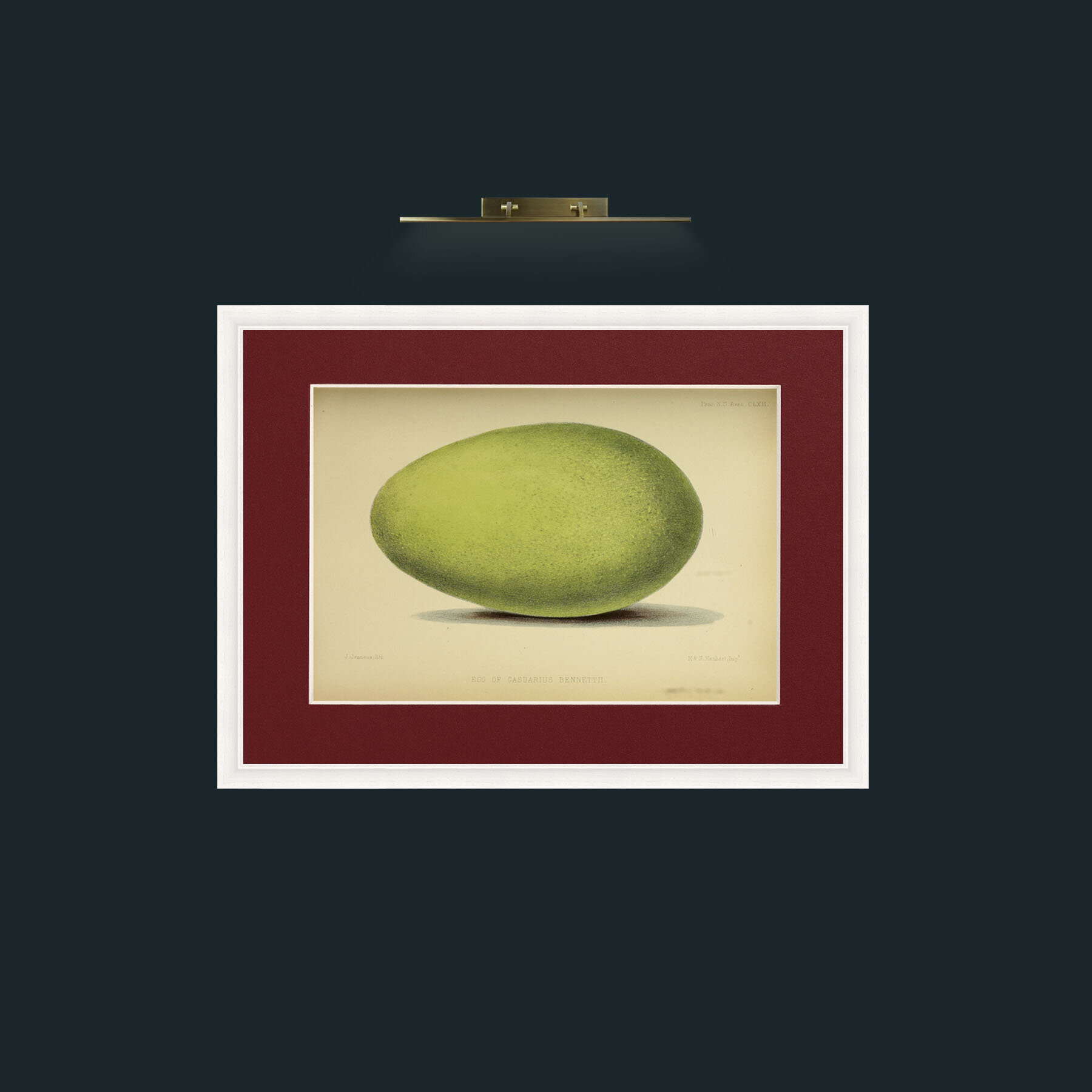 Art-Cassowary Egg-Frame-5White-Mount-4Red.jpg