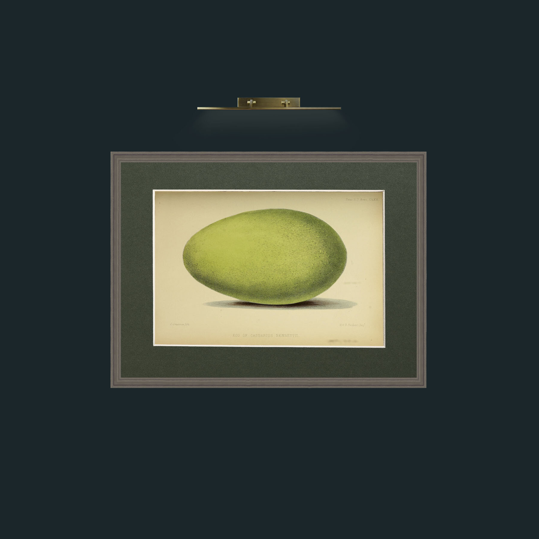 Art-Cassowary Egg-Frame-6Grey-Mount-2Green.jpg