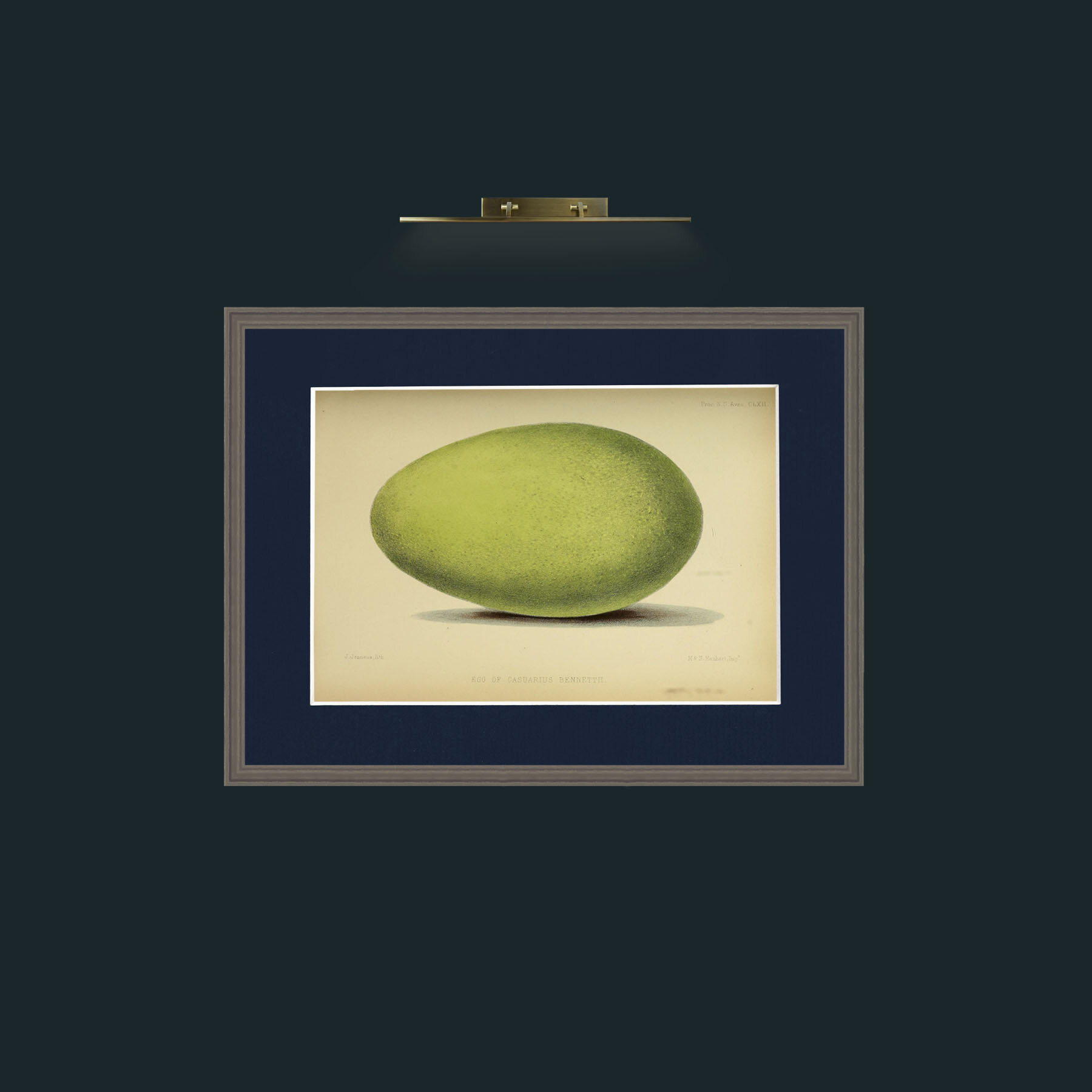 Art-Cassowary Egg-Frame-6Grey-Mount-3Blue.jpg