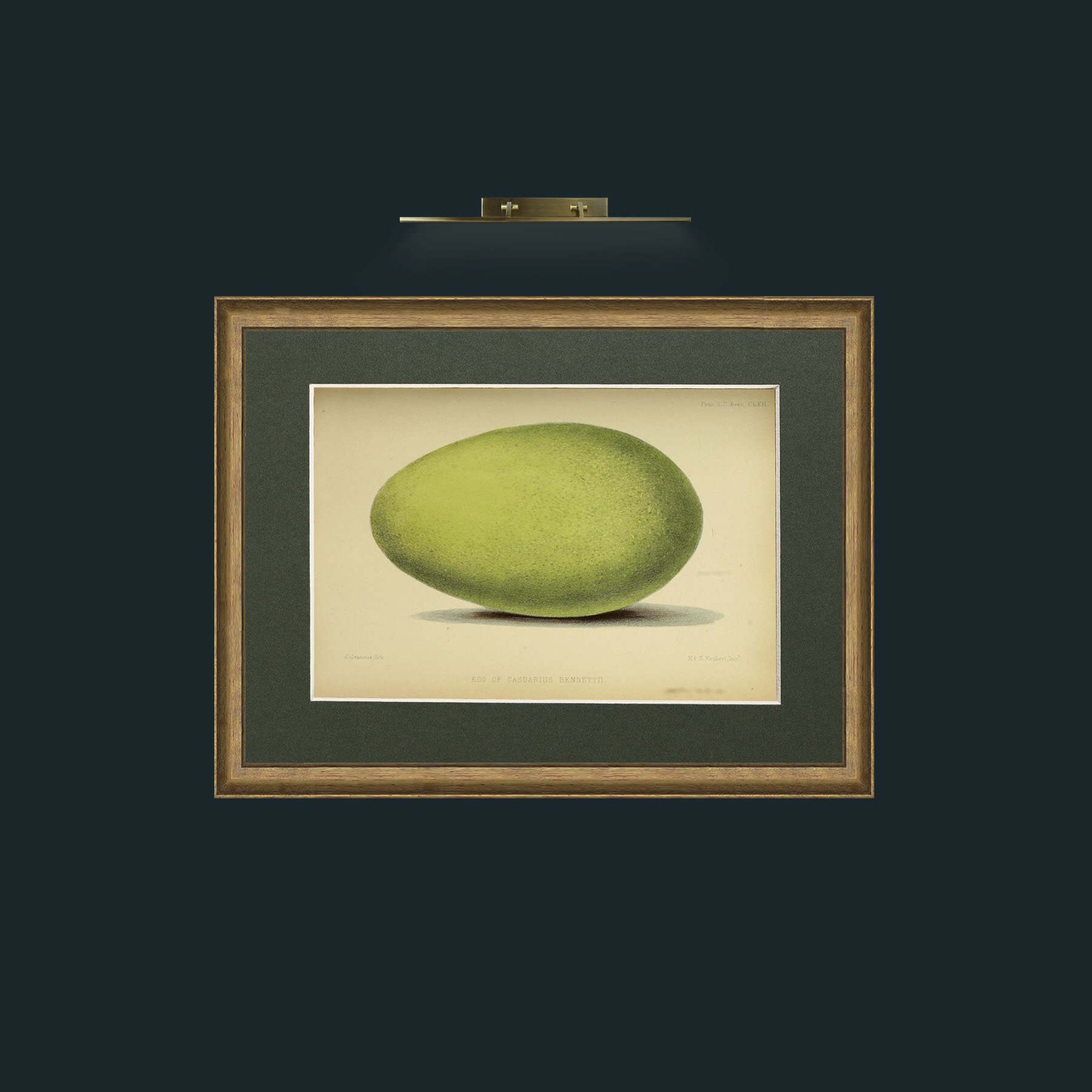 Art-Cassowary Egg-Frame-8AntiqueRedGoldGilt-Mount-2Green.jpg