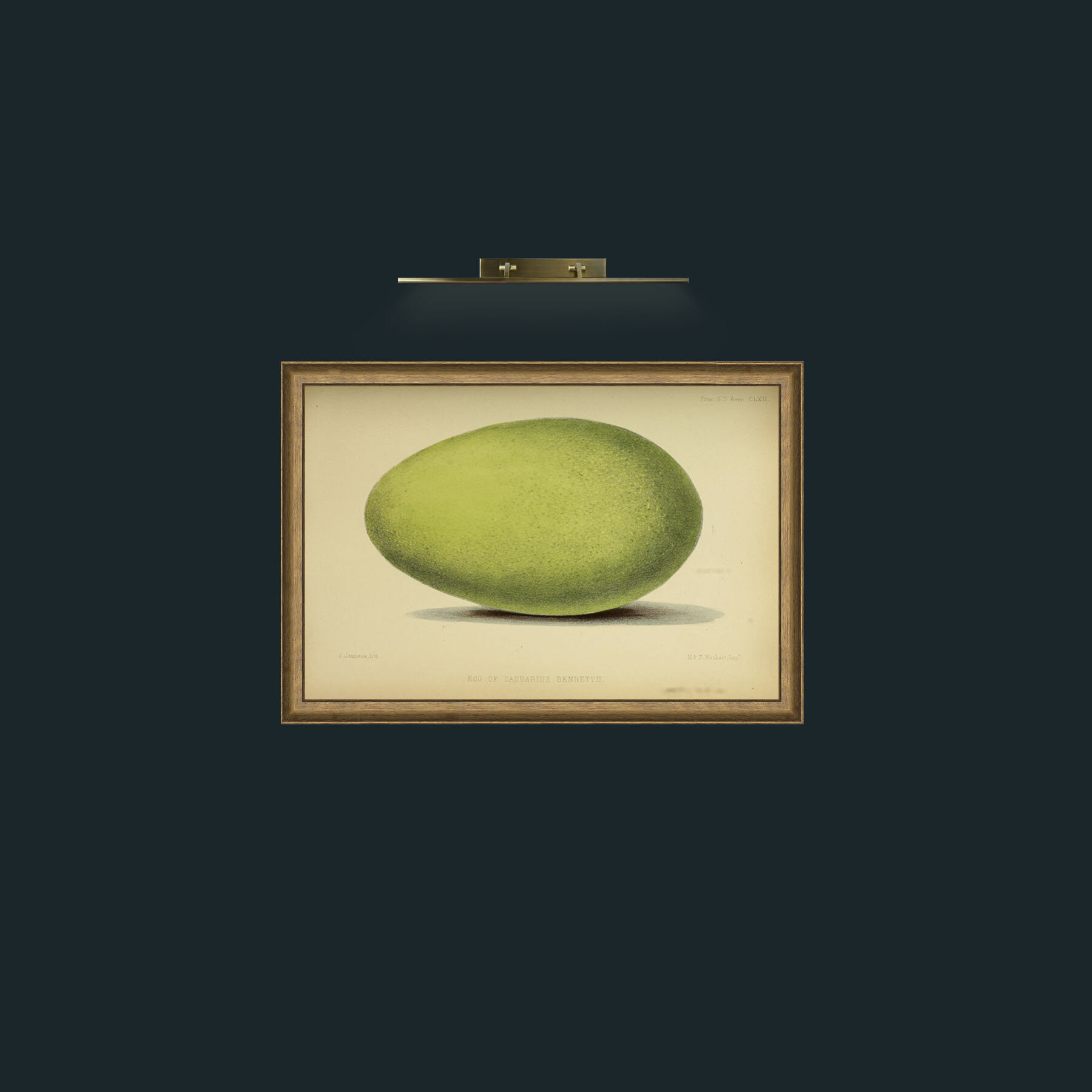 Art-Cassowary Egg-Frame-8RedGreenGilt.jpg