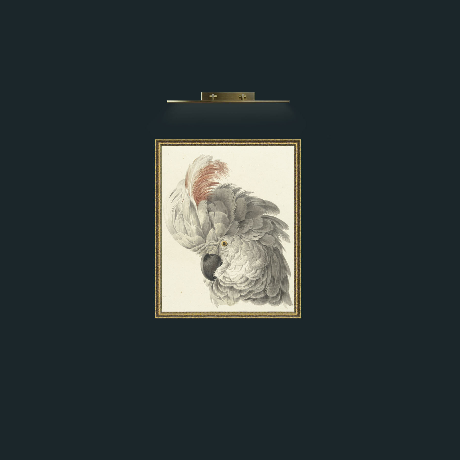 Art-CockatooFrame-1GiltTextured-Art-Cockatoo.jpg