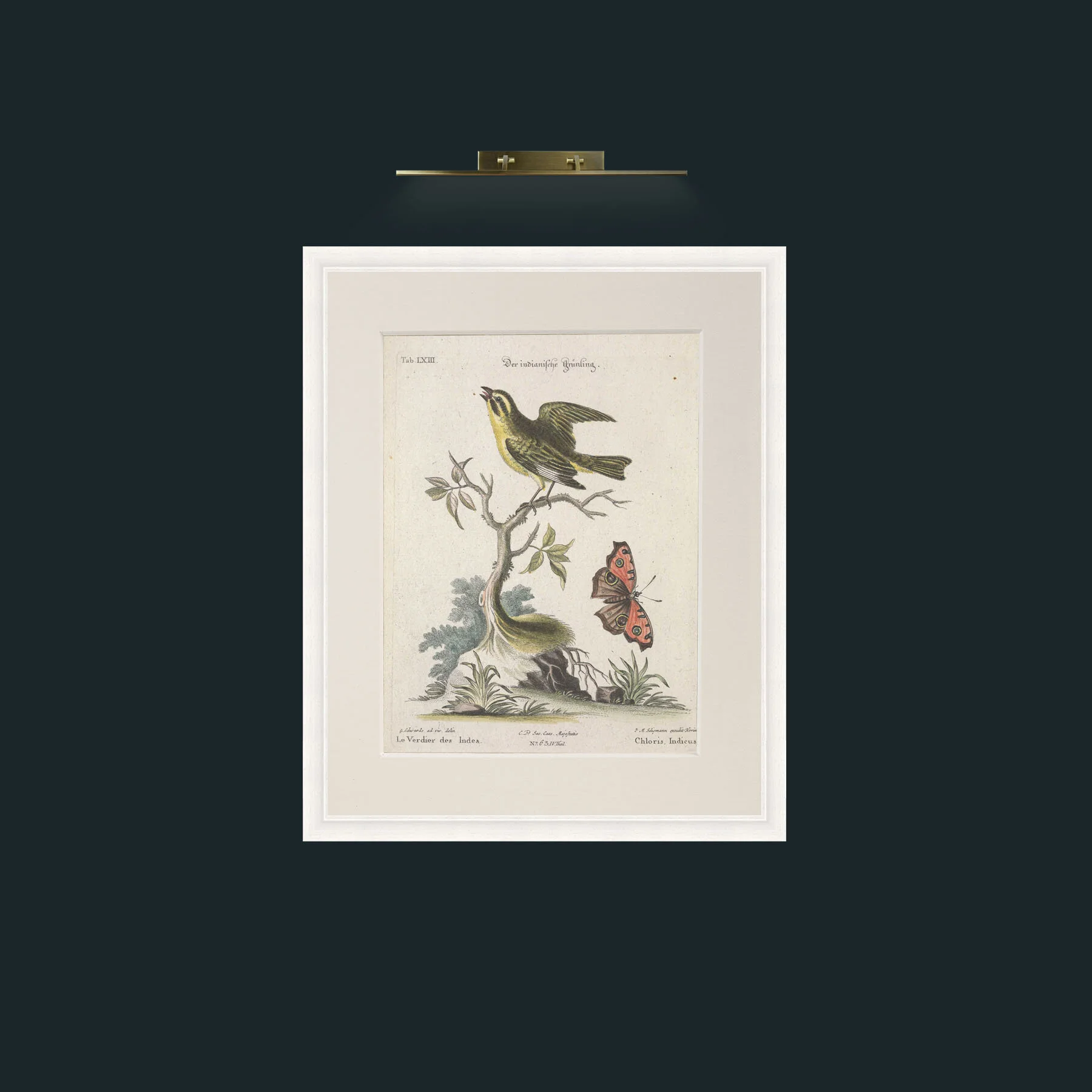 Art-Chloris-Frame-5White-Mount-1Antique.jpg