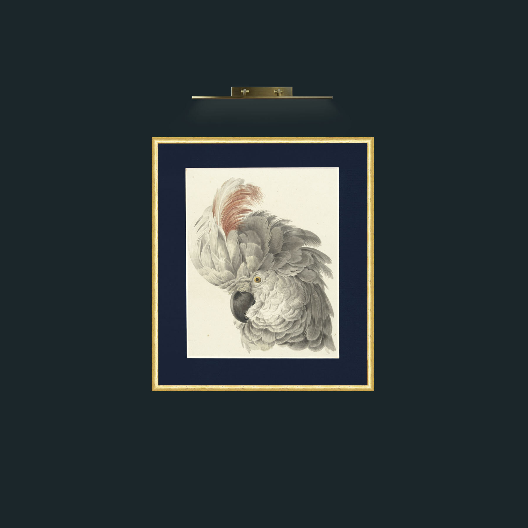 Art-CockatooFrame-3RoundedGilt-Mount-3Blue-Art-Cockatoo.jpg