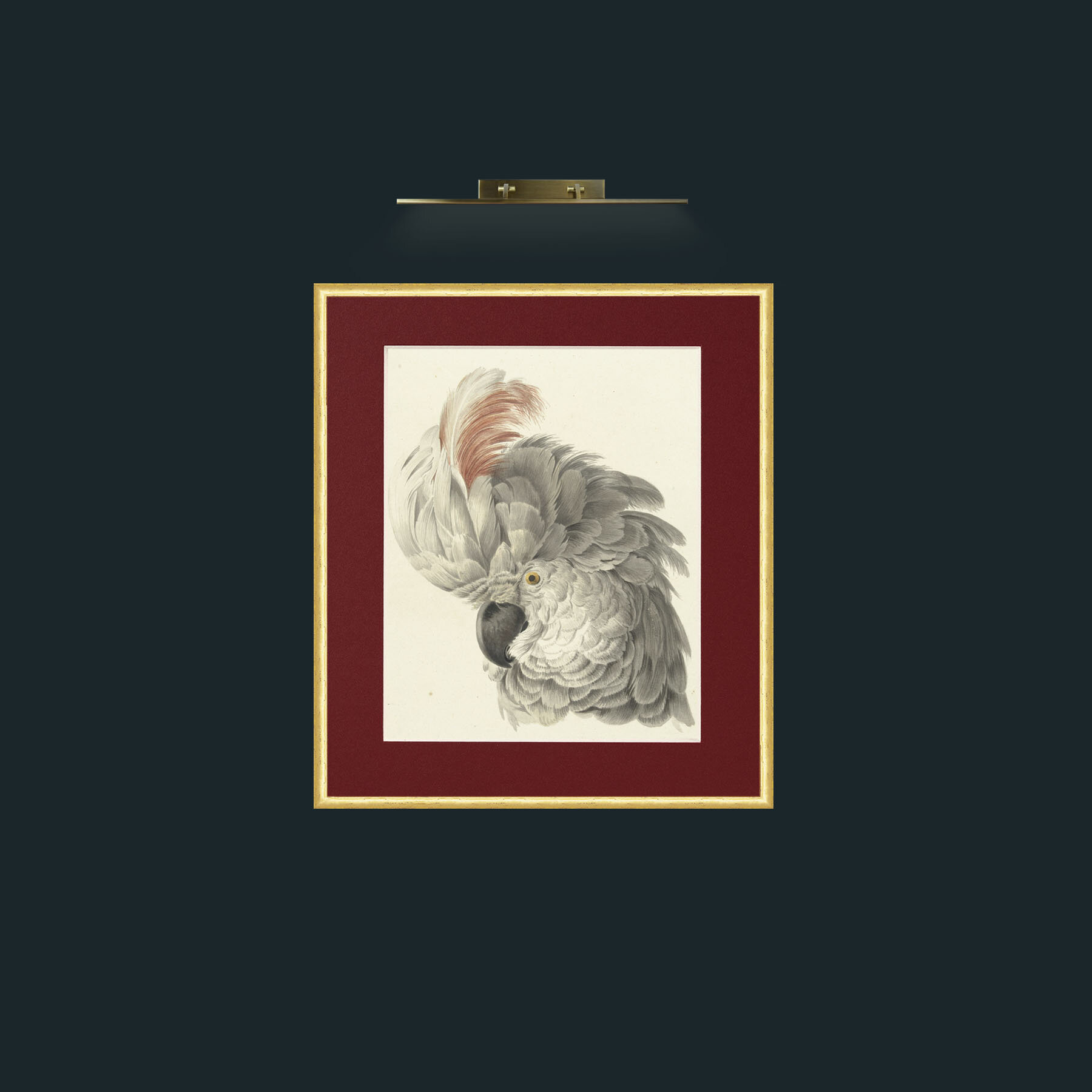 Art-CockatooFrame-3RoundedGilt-Mount-4Red-Art-Cockatoo.jpg