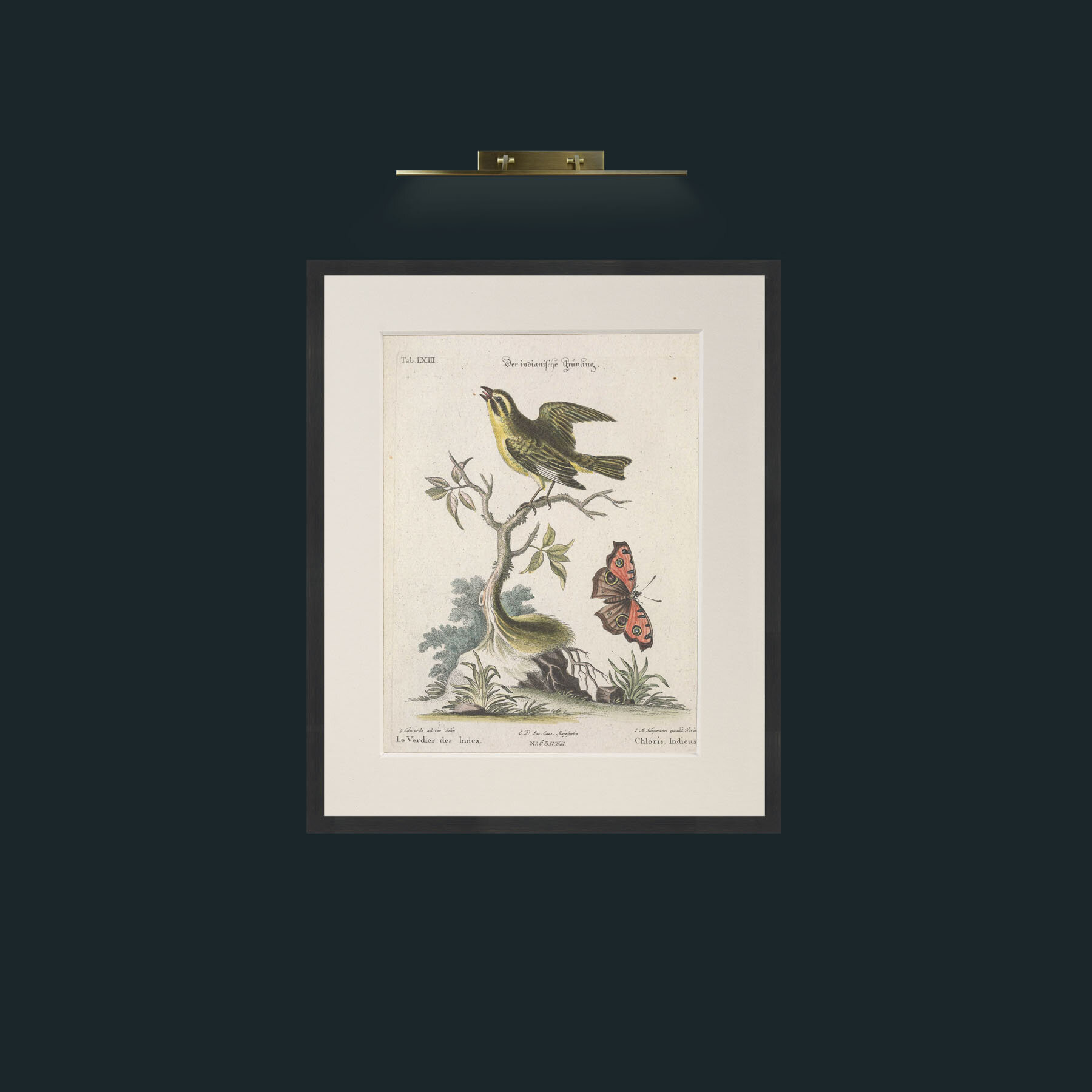 Art-Chloris-Frame-7Black-Mount-1Antique.jpg