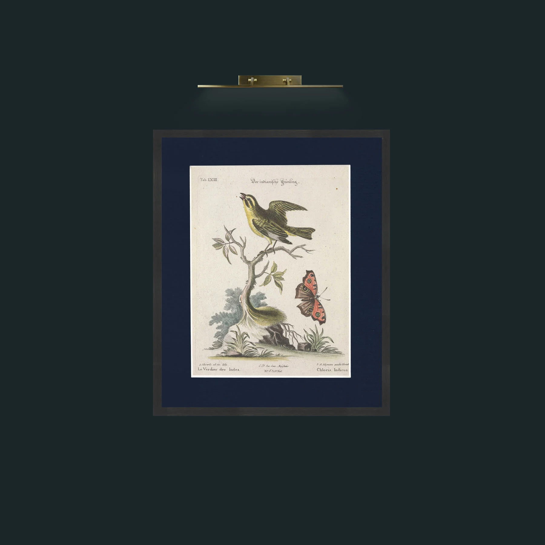 Art-Chloris-Frame-7Black-Mount-3Blue.jpg