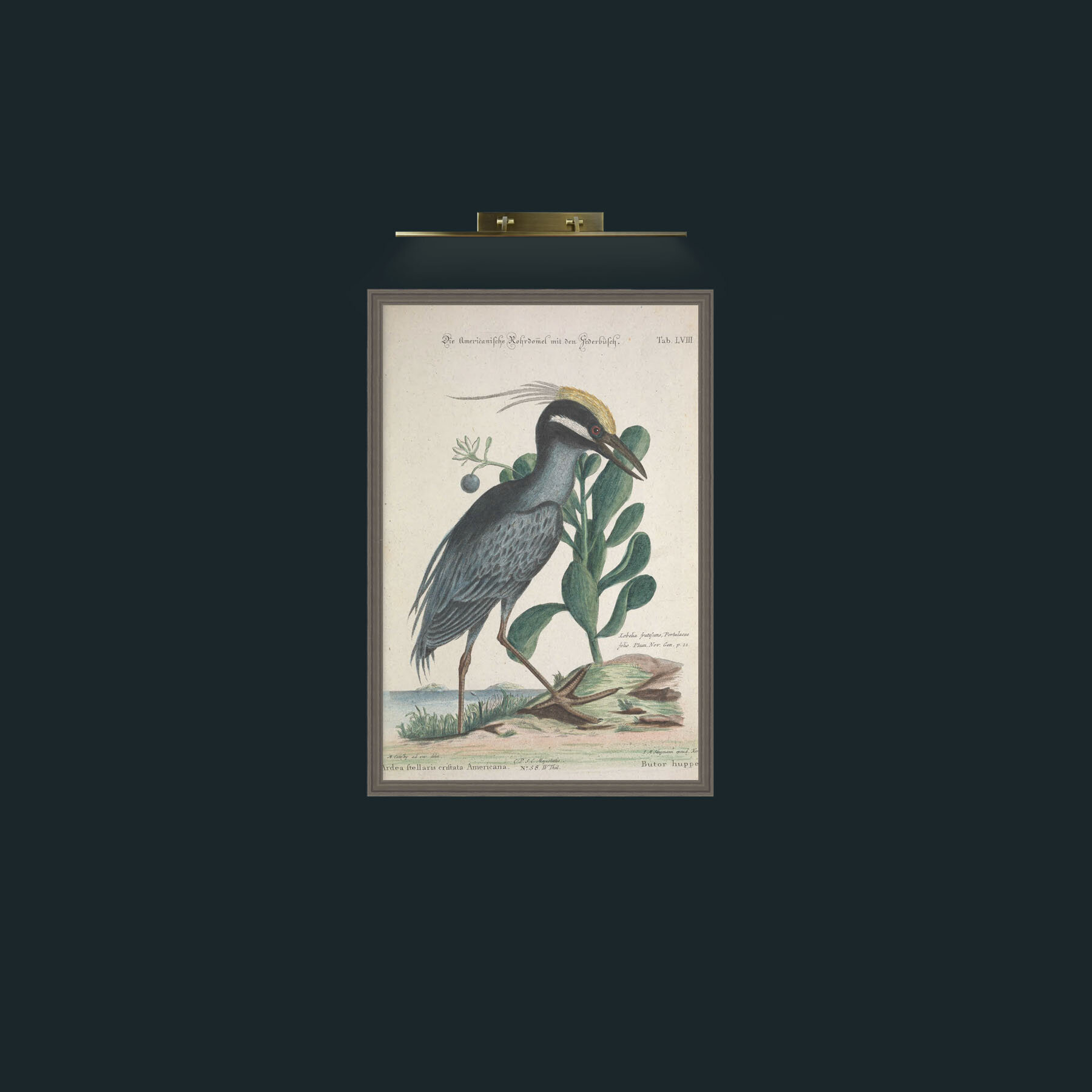 Art-Crefted Bittern-Frame-6Grey.jpg