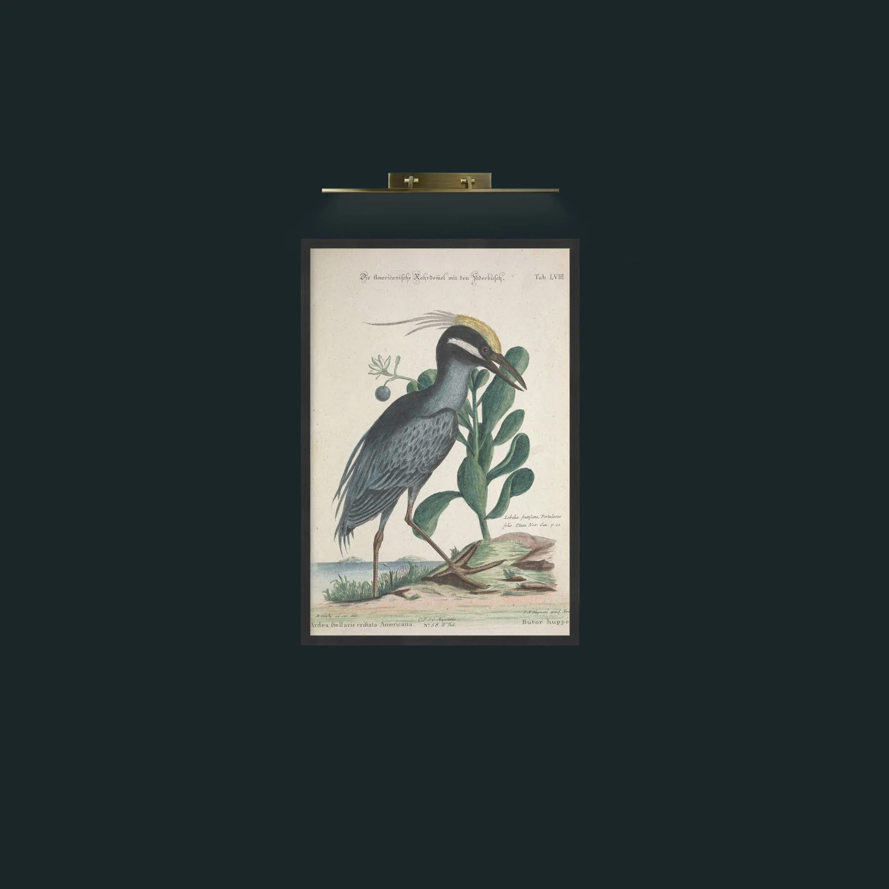 Art-Crefted Bittern-Frame-7Black.jpg
