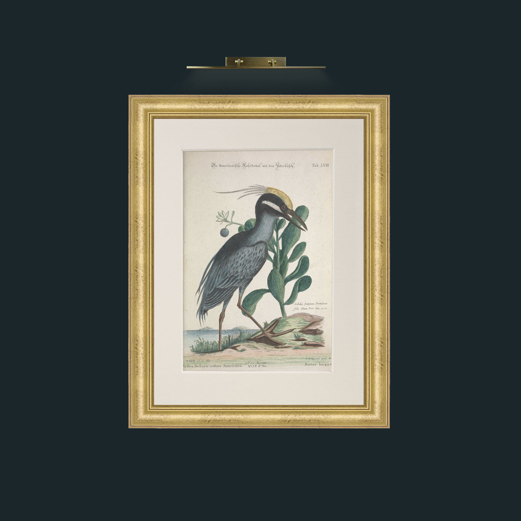 Art-Crefted Bittern.jpg-Frame-9WideGilt-Mount-1Antique.jpg