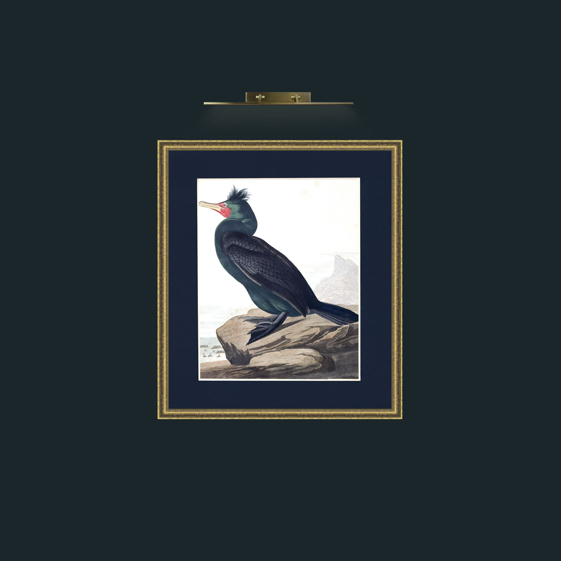 Double-crested CormorantFrame-1GiltTextured-Mount-3Blue-Art-Double-crested Cormorant.jpg