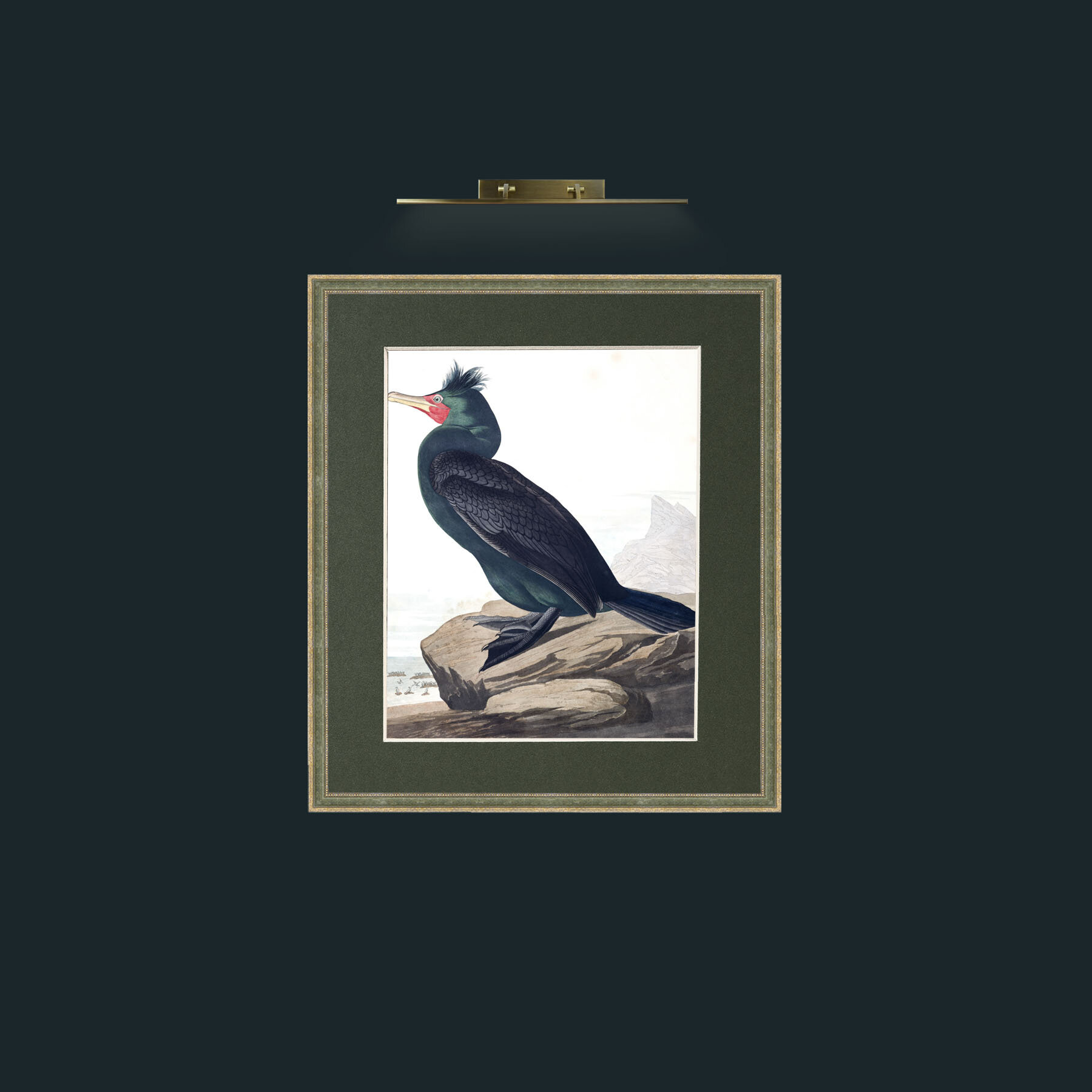 Double-crested CormorantFrame-2GreenGiltTextured-Mount-2Green-Art-Double-crested Cormorant.jpg
