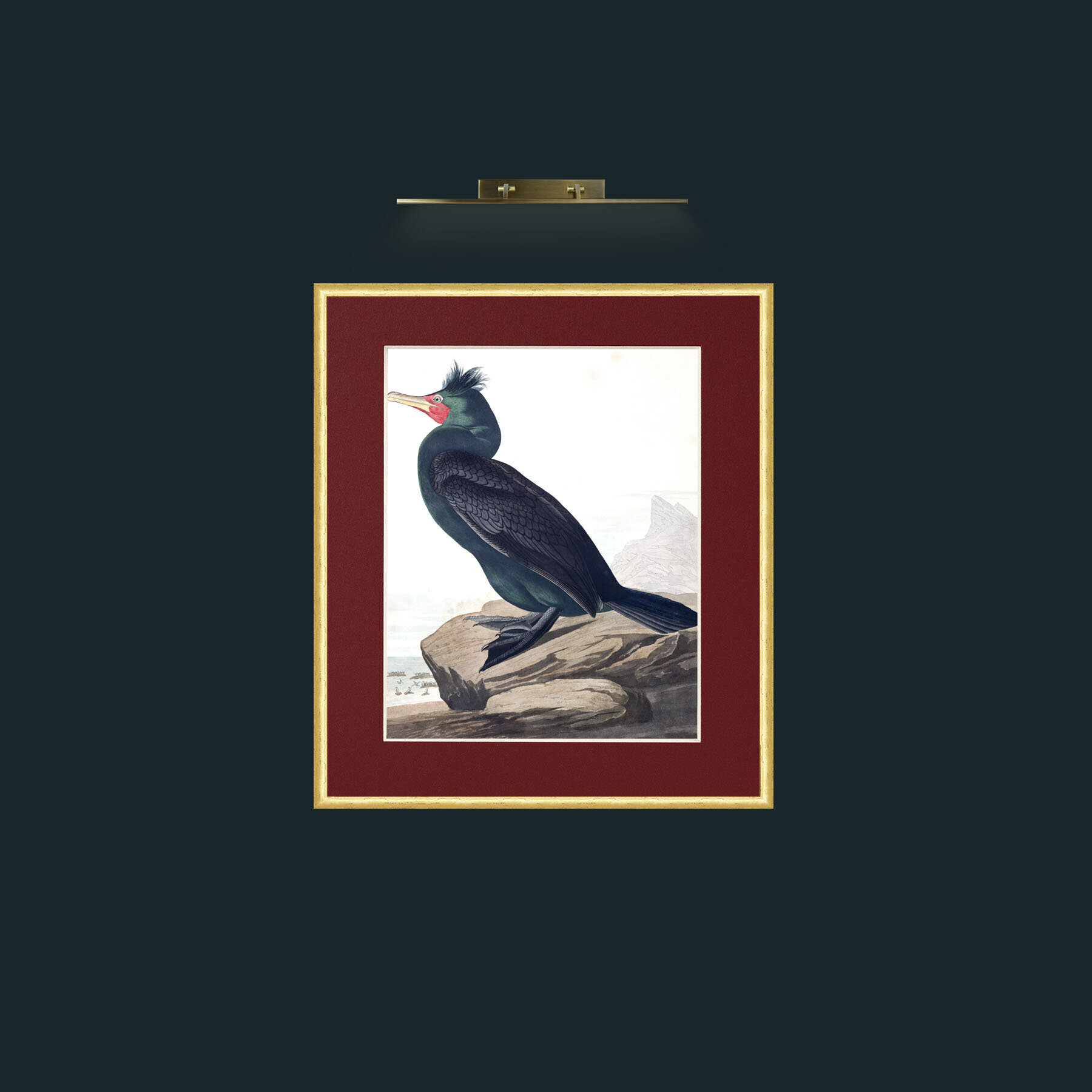 Double-crested CormorantFrame-3RoundedGilt-Mount-4Red-Art-Double-crested Cormorant.jpg