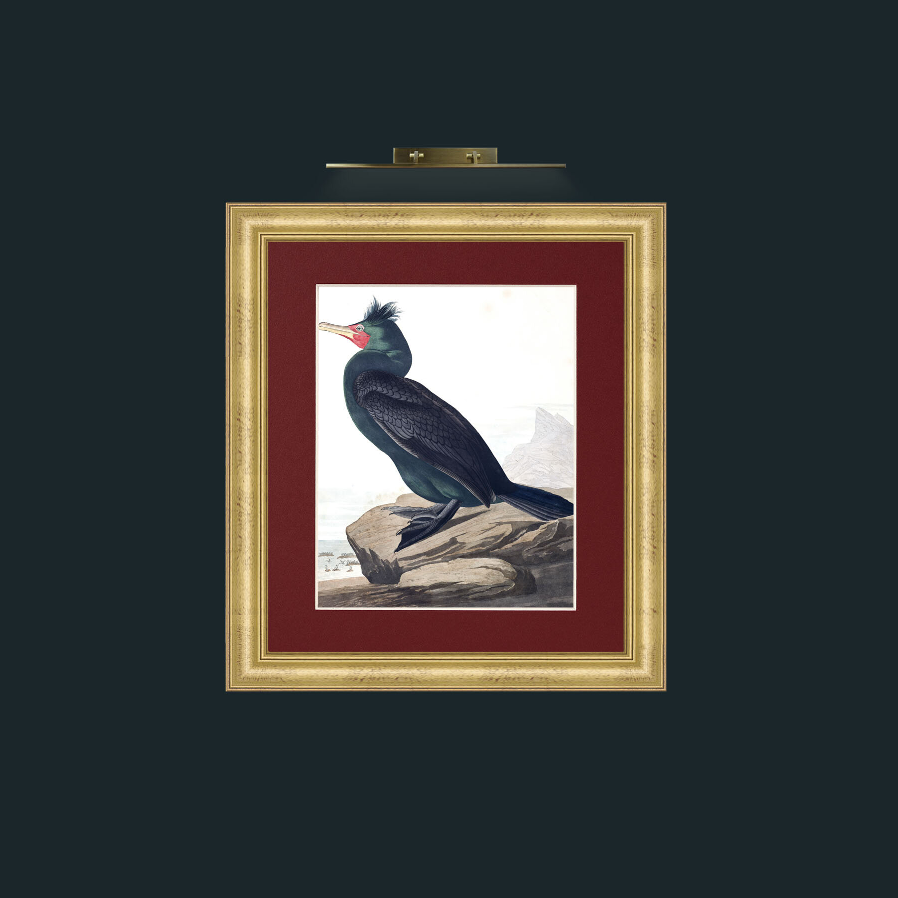Double-crested CormorantFrame-9WideGilt-Mount-4Red-Art-Double-crested Cormorant.jpg