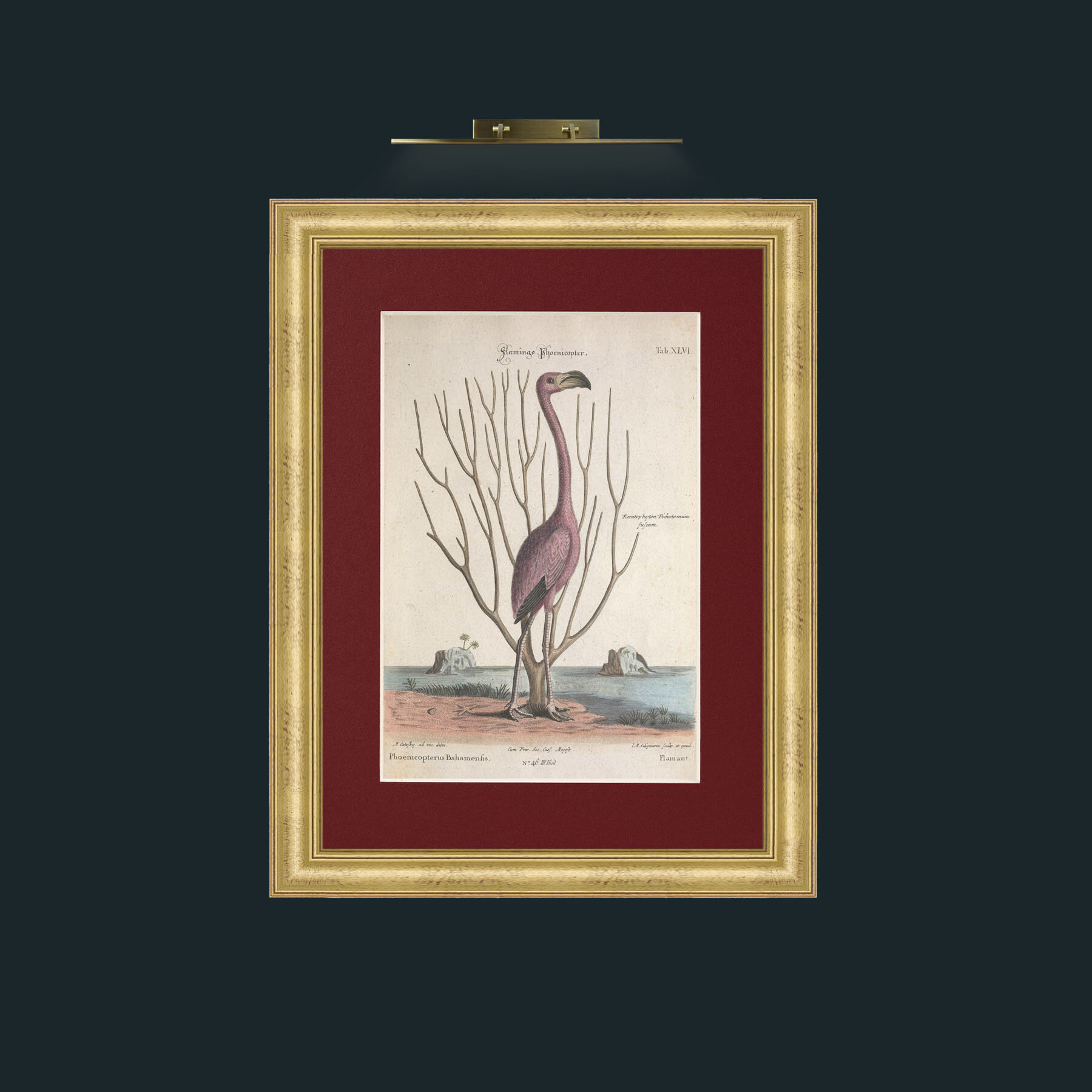 Art-Flamingo 3.jpg-Frame-9WideGilt-Mount-4Red.jpg