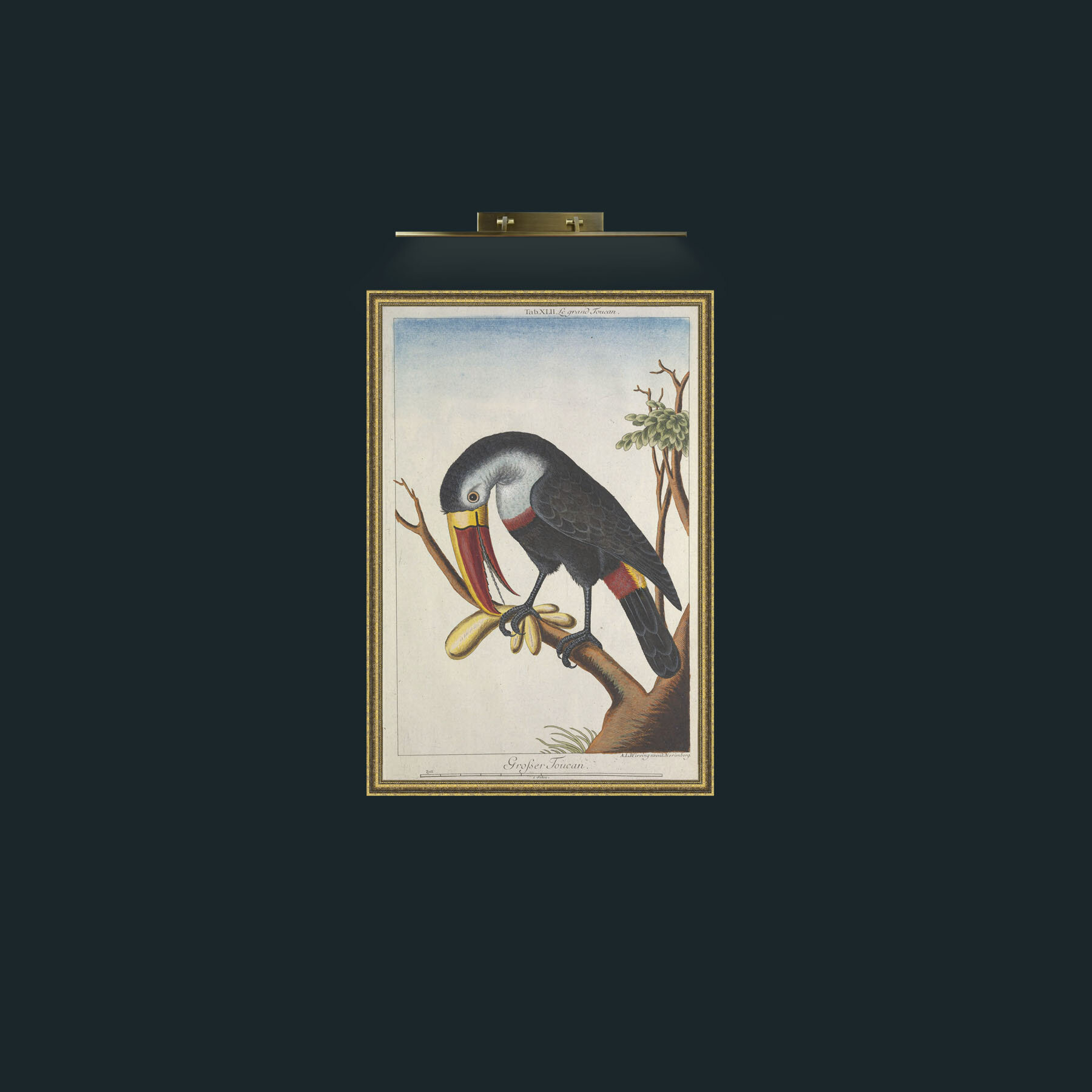 Art-Great Toucan-Frame-1GiltTextured.jpg