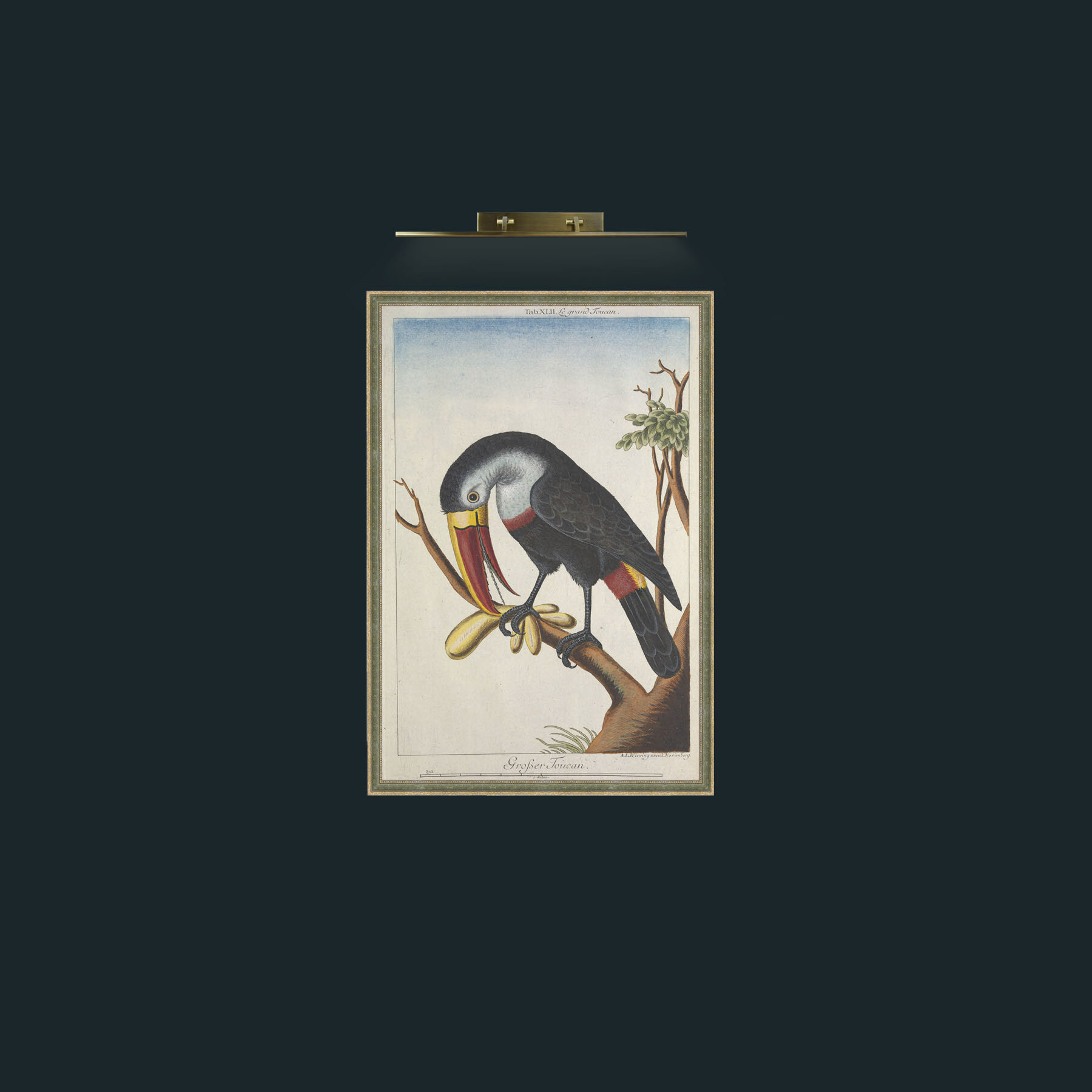 Art-Great Toucan-Frame-2GreenGiltTextured.jpg