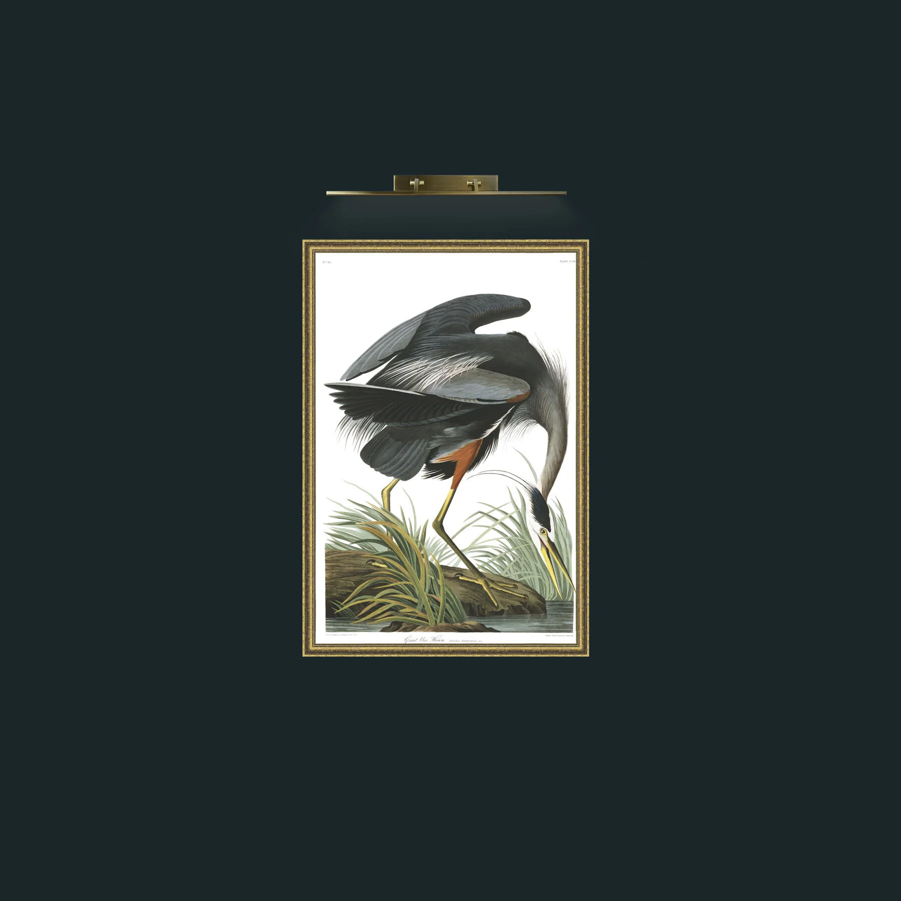 Great-blue Heron-Frame-1GiltTextured-Art.jpg