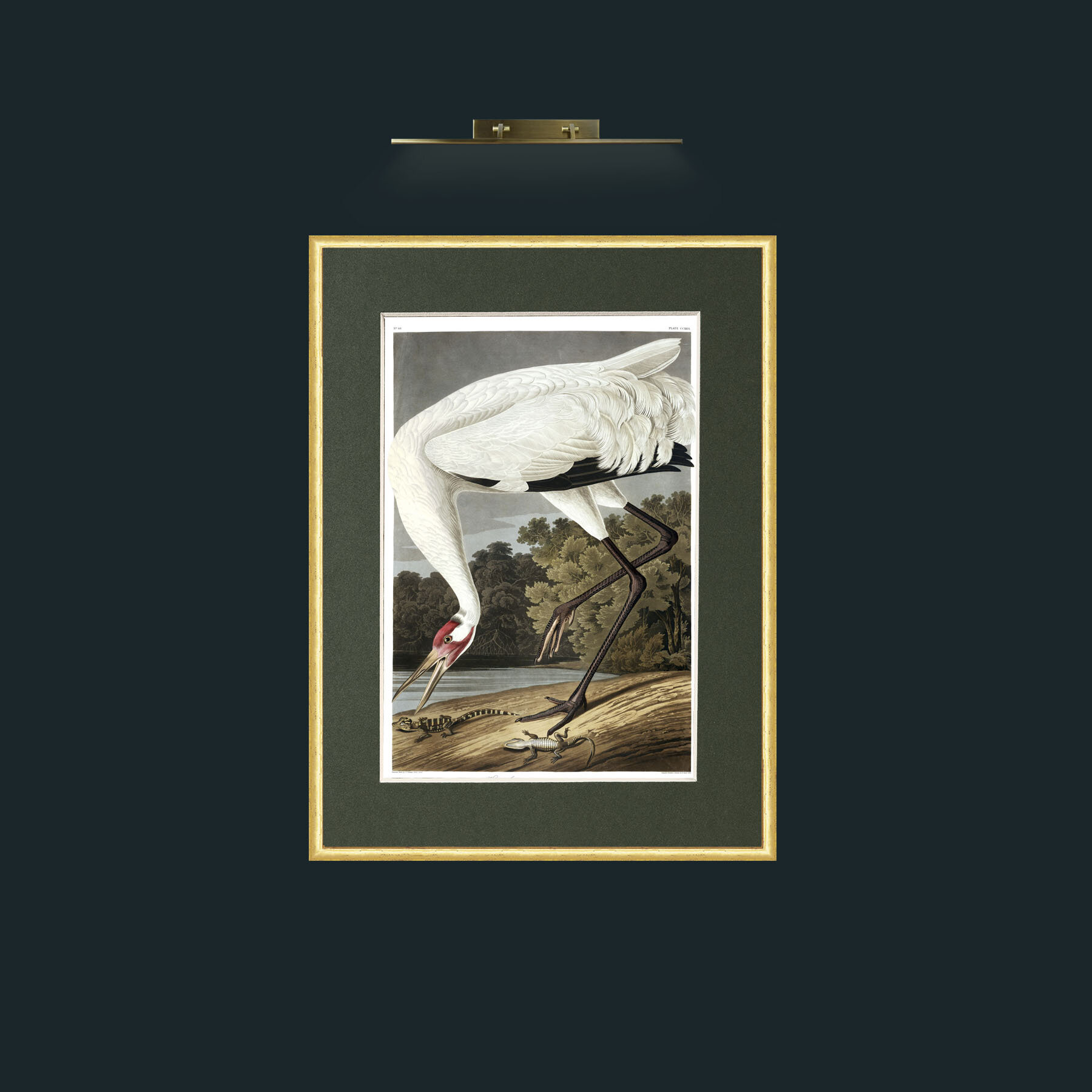 Art-Hooping Crane.jpg-Frame-3RoundedGilt-Mount-2Green.jpg