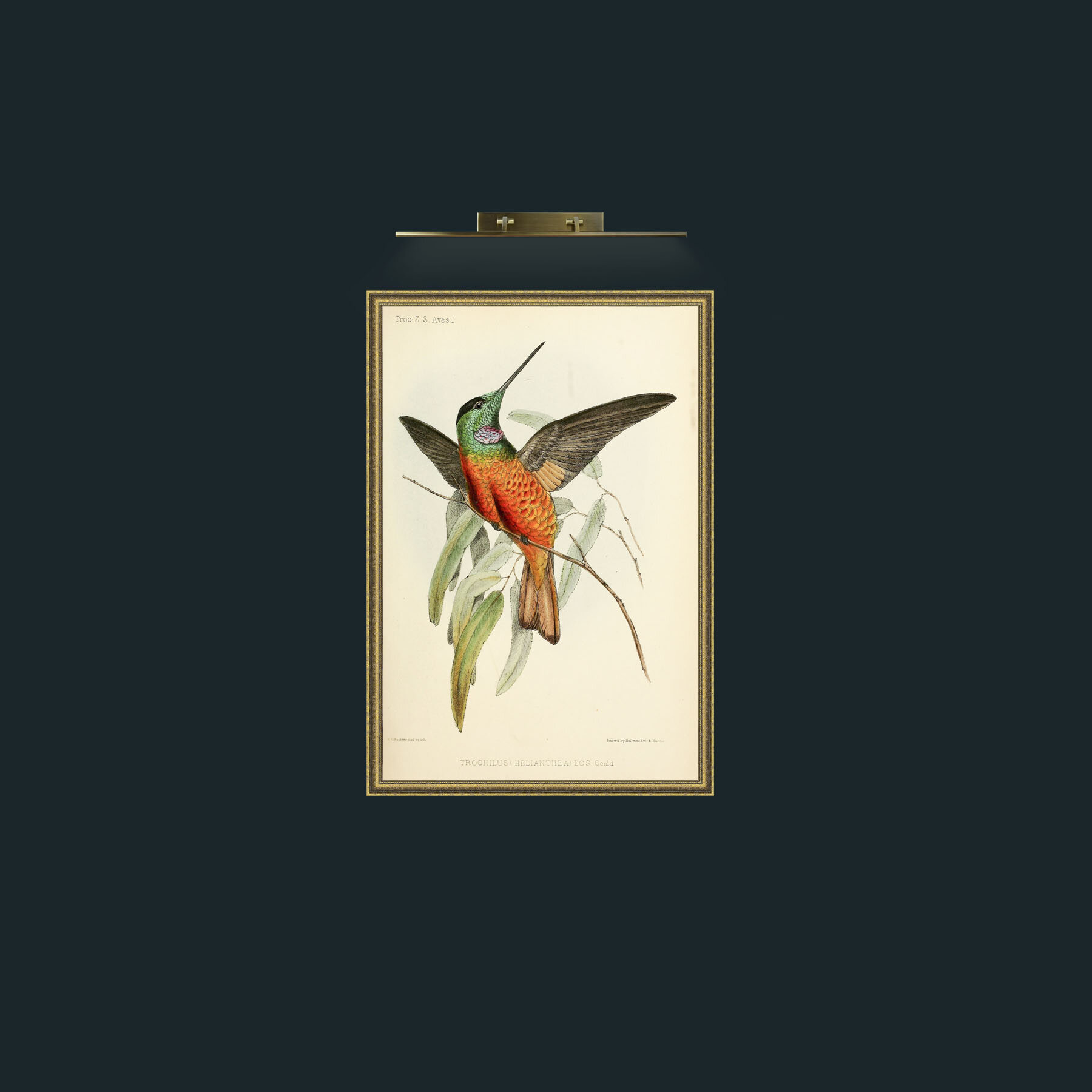Art-Hummingbird-Frame-1GiltTextured.jpg