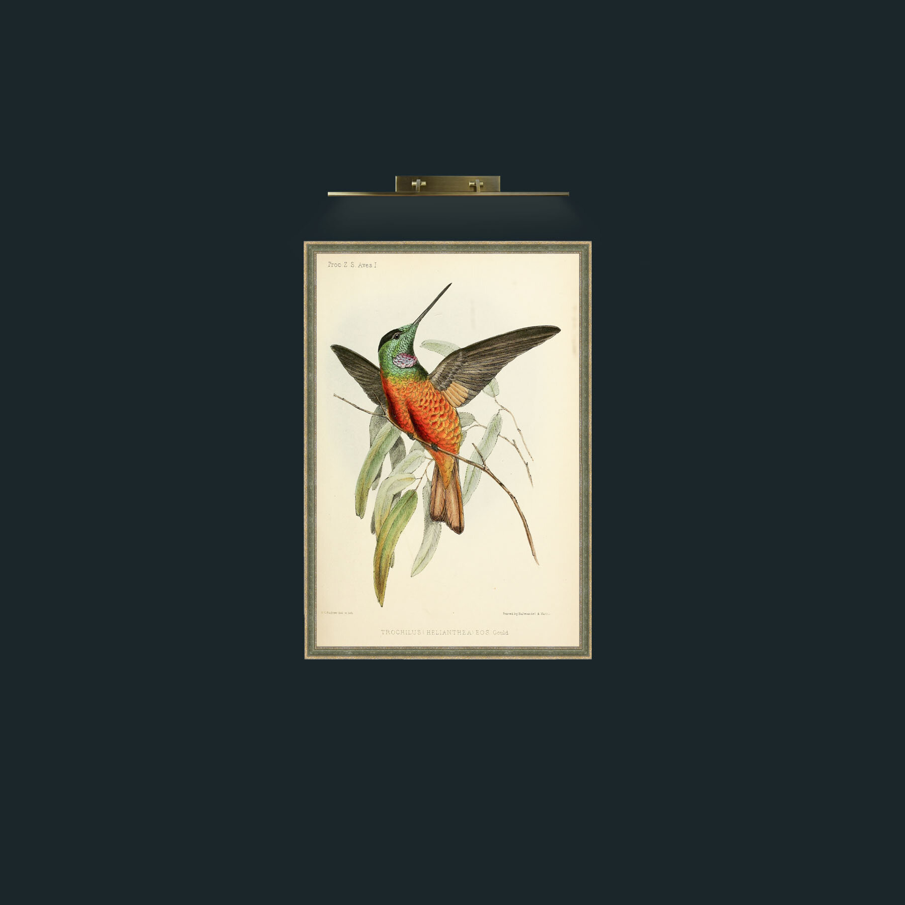 Art-Hummingbird-Frame-2GreenGiltTextured.jpg