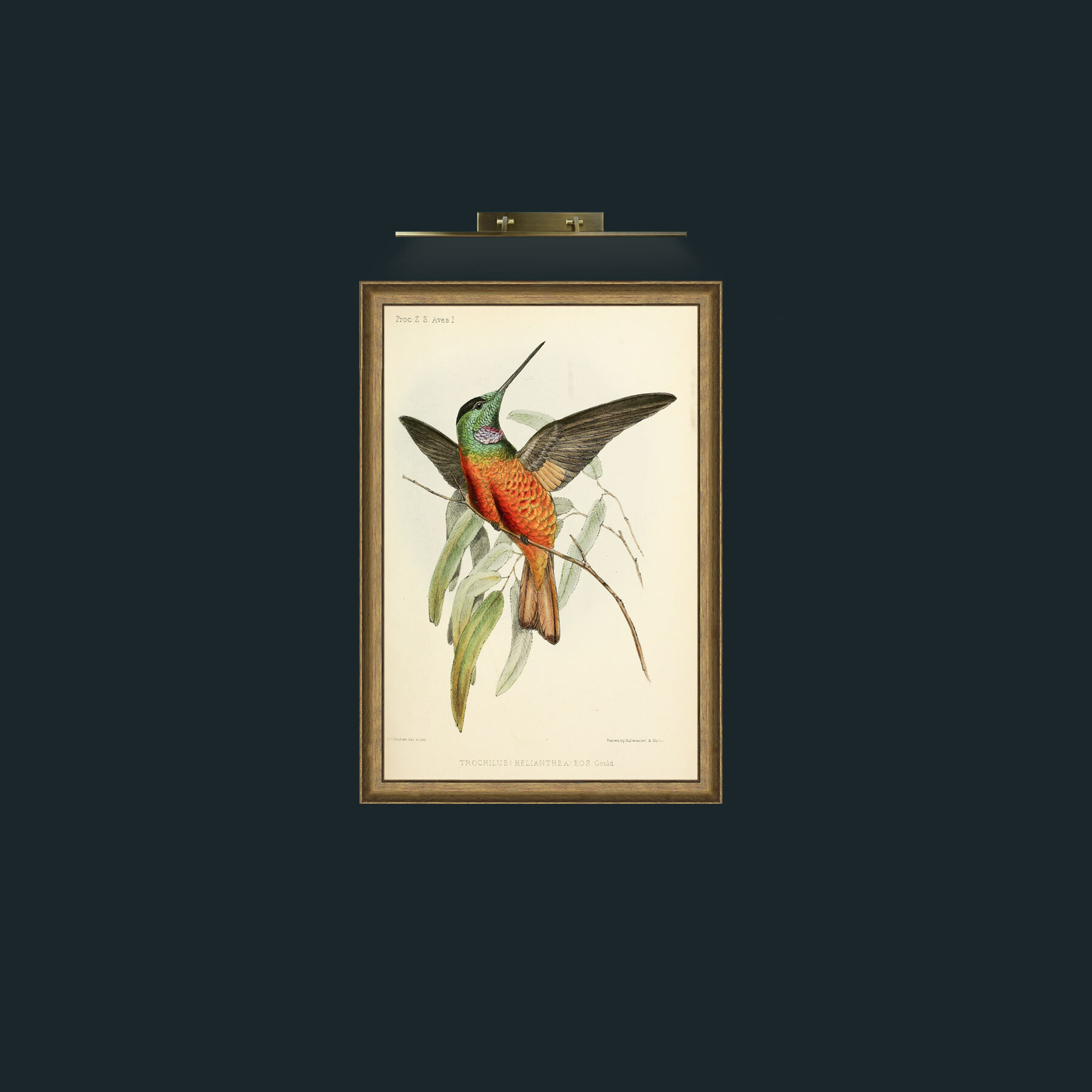 Art-Hummingbird-Frame-8RedGreenGilt.jpg