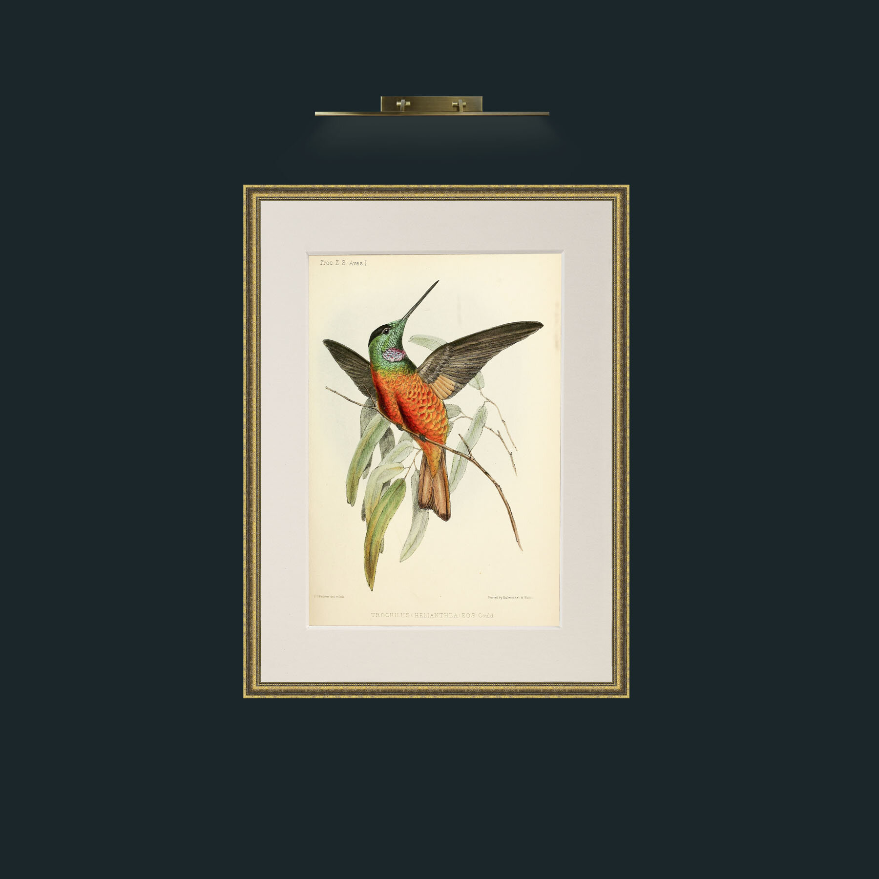 Art-Hummingbird.jpg-Frame-1TexturedGilt-Mount-1Antique.jpg