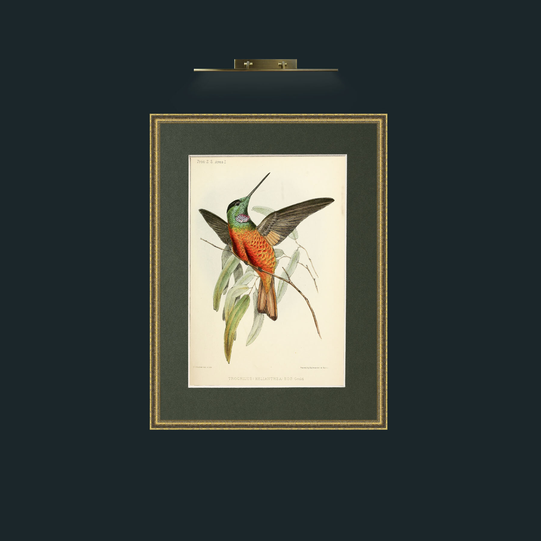 Art-Hummingbird.jpg-Frame-1TexturedGilt-Mount-2Green.jpg