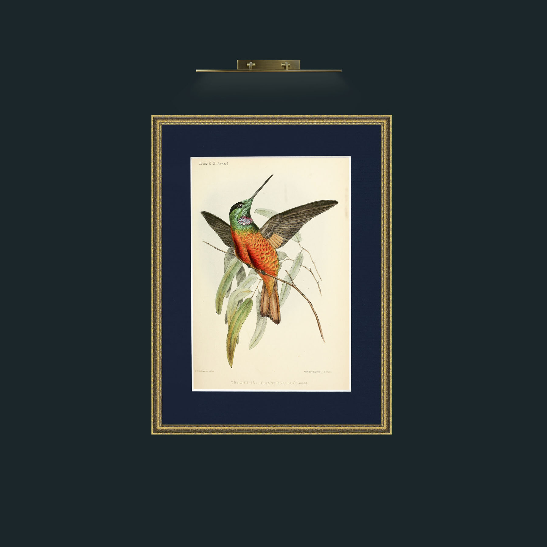 Art-Hummingbird.jpg-Frame-1TexturedGilt-Mount-3Blue.jpg