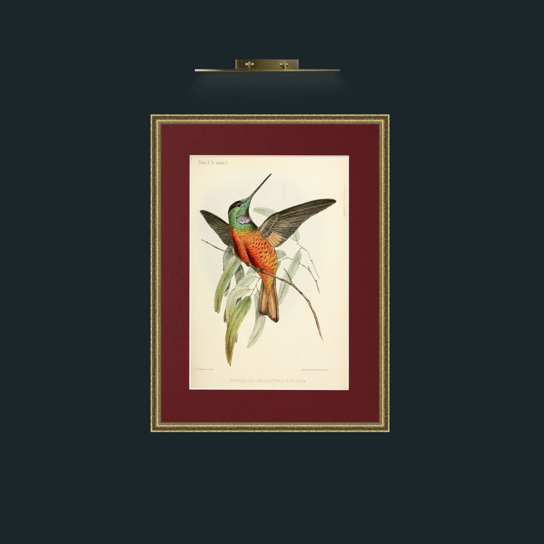 Art-Hummingbird.jpg-Frame-1TexturedGilt-Mount-4Red.jpg
