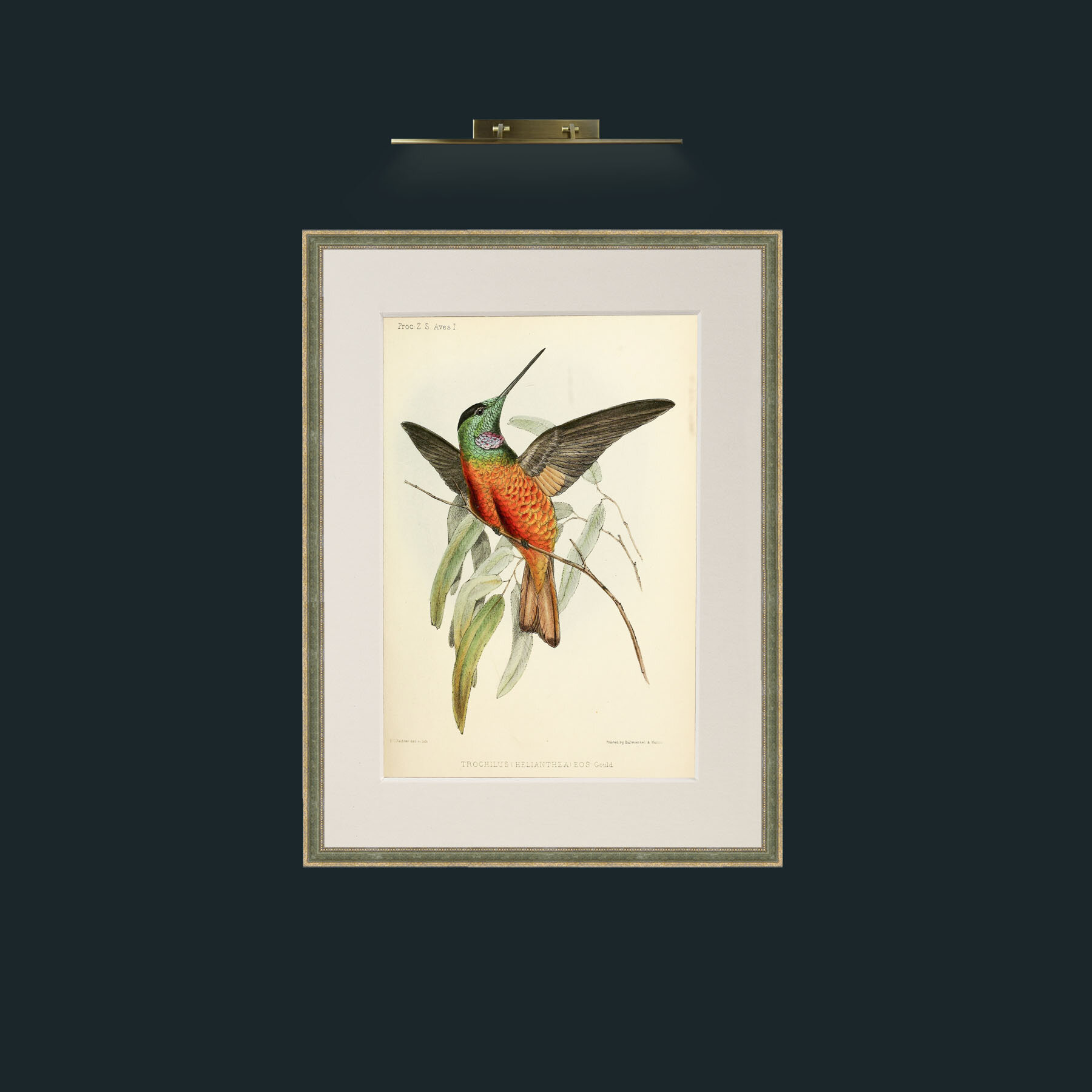 Art-Hummingbird.jpg-Frame-2GreenGiltTextured-Mount-1Antique.jpg