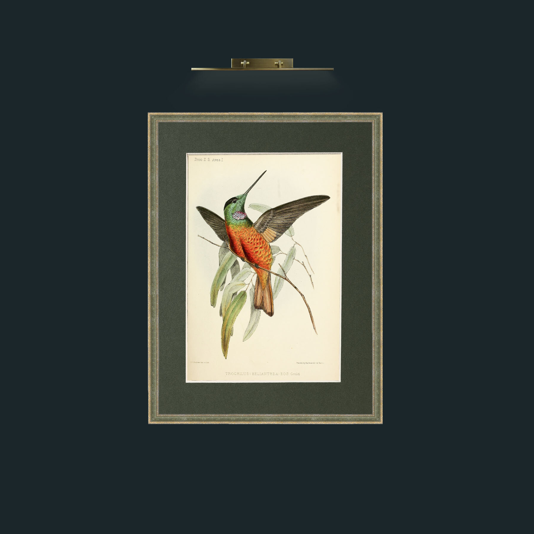 Art-Hummingbird.jpg-Frame-2GreenGiltTextured-Mount-2Green.jpg