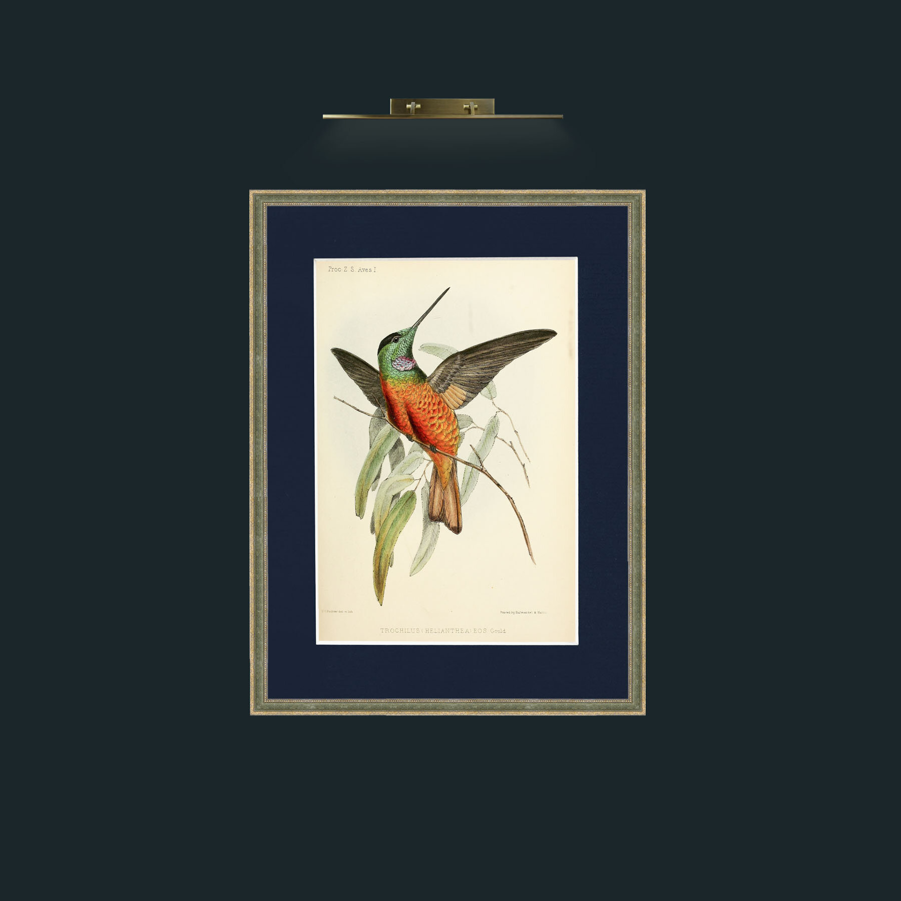 Art-Hummingbird.jpg-Frame-2GreenGiltTextured-Mount-3Blue.jpg