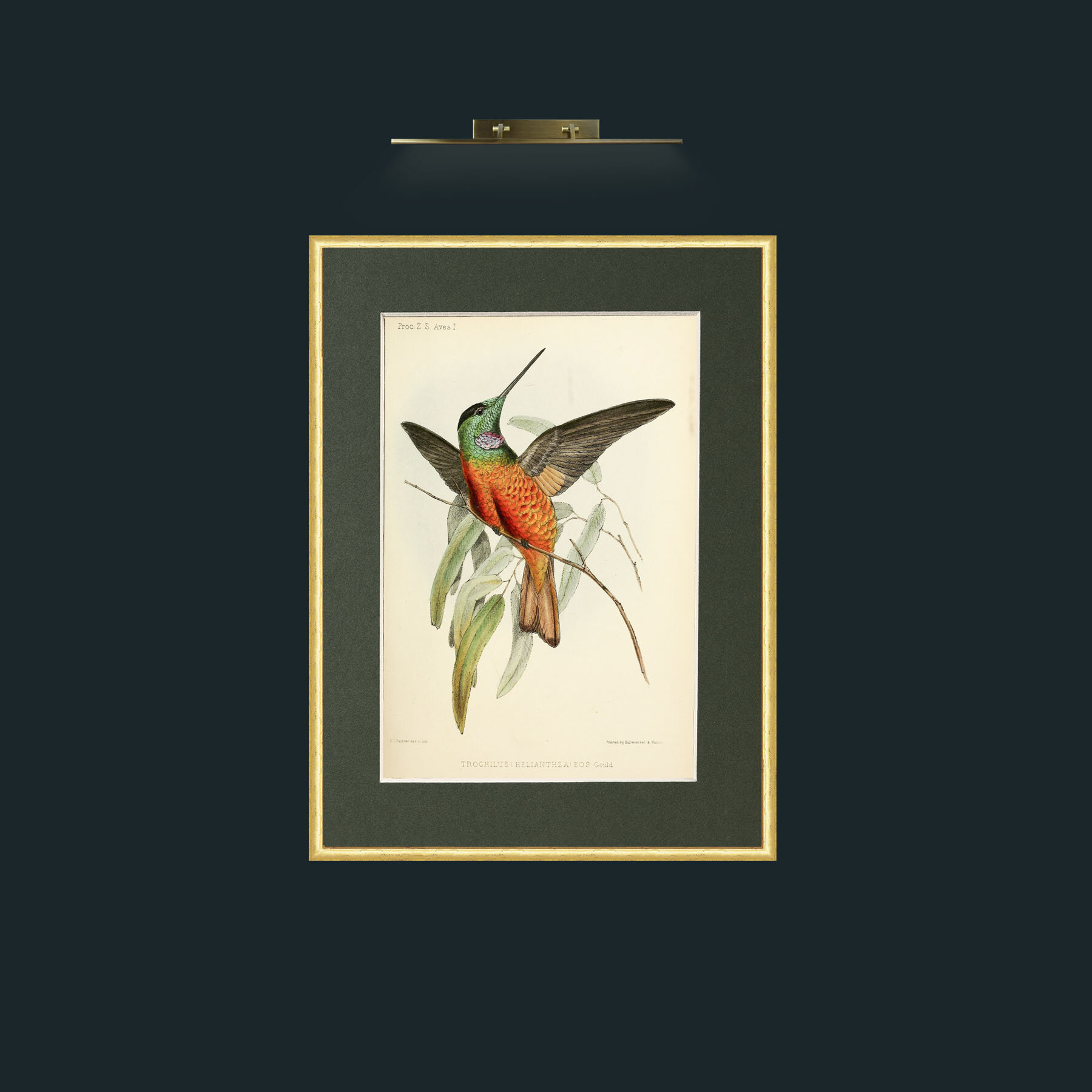 Art-Hummingbird.jpg-Frame-3RoundedGilt-Mount-2Green.jpg